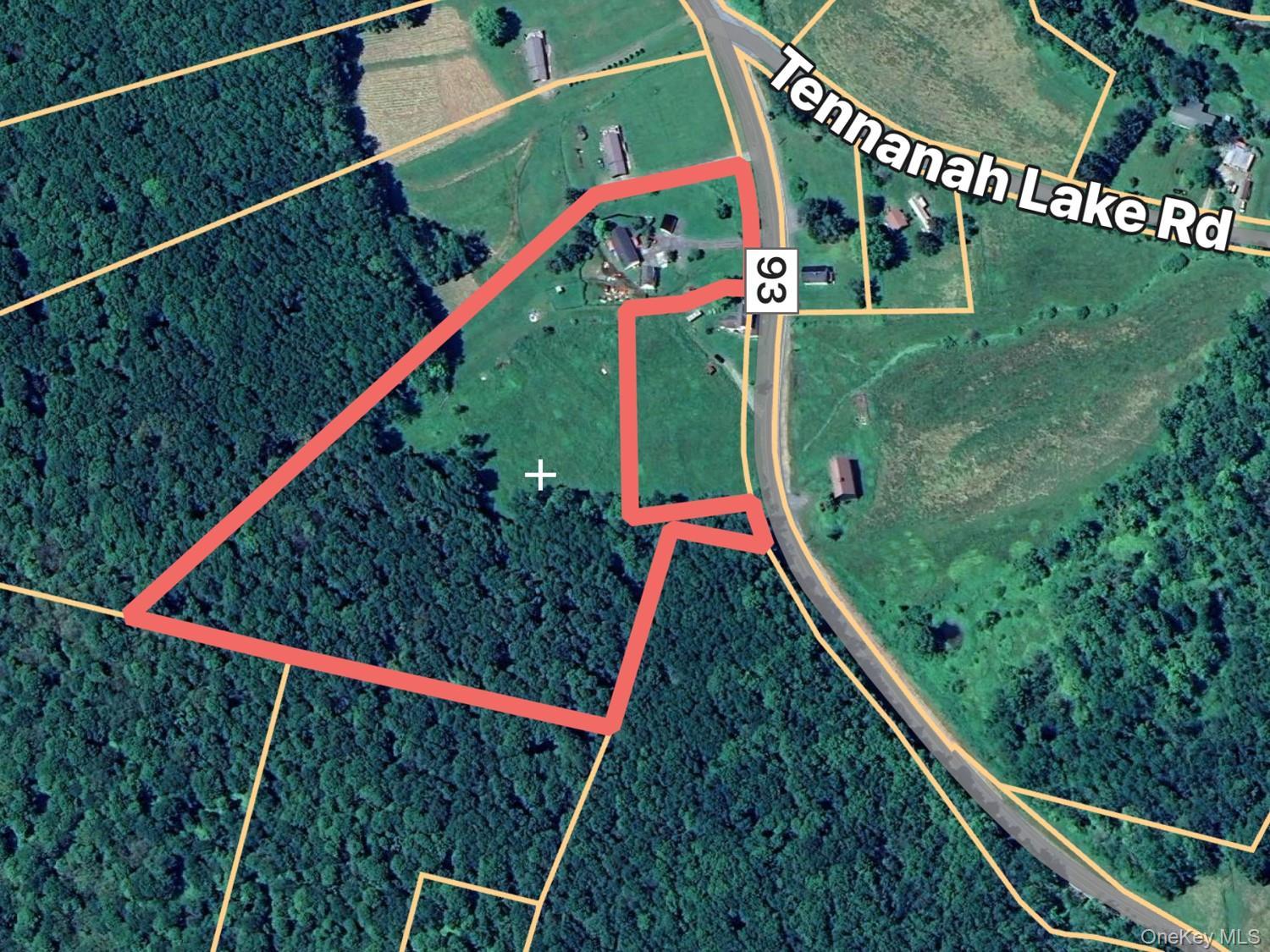 Single Family County Road 93 Sullivan County, NY 12776, MLS-937450-17