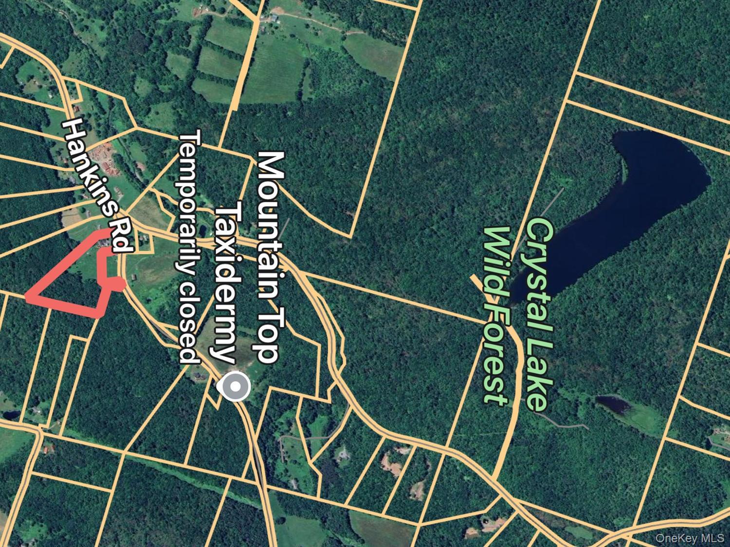 Single Family County Road 93 Sullivan County, NY 12776, MLS-937450-42