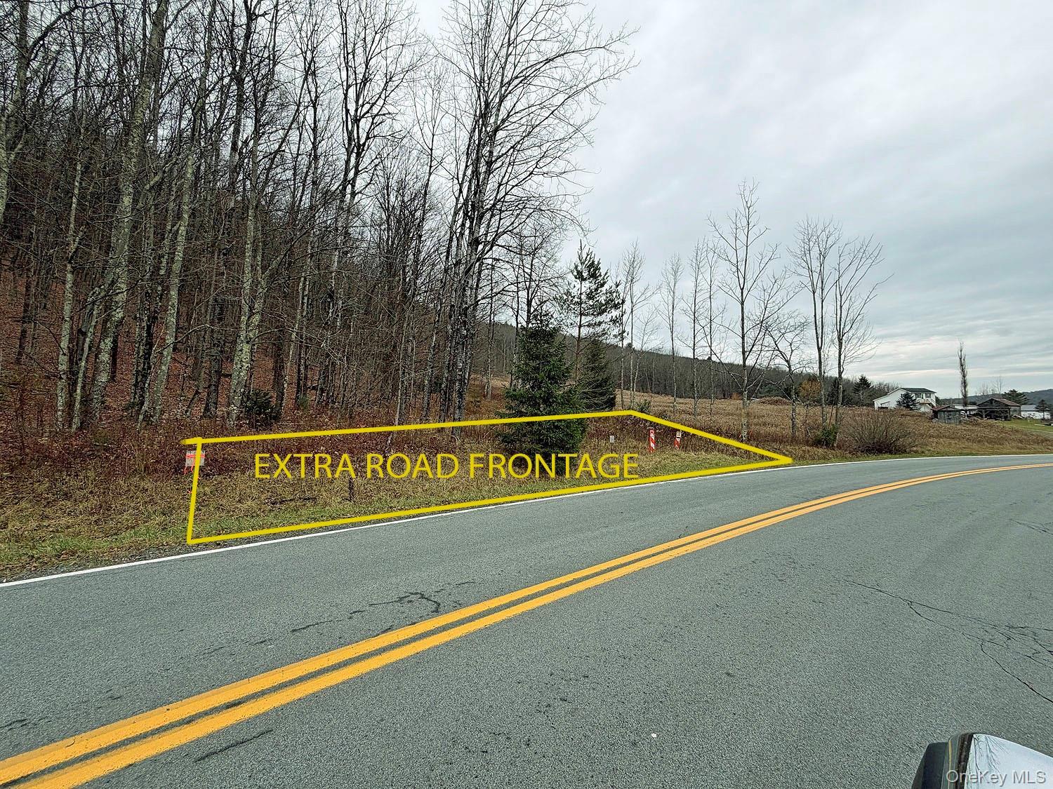 Single Family County Road 93 Sullivan County, NY 12776, MLS-937450-43