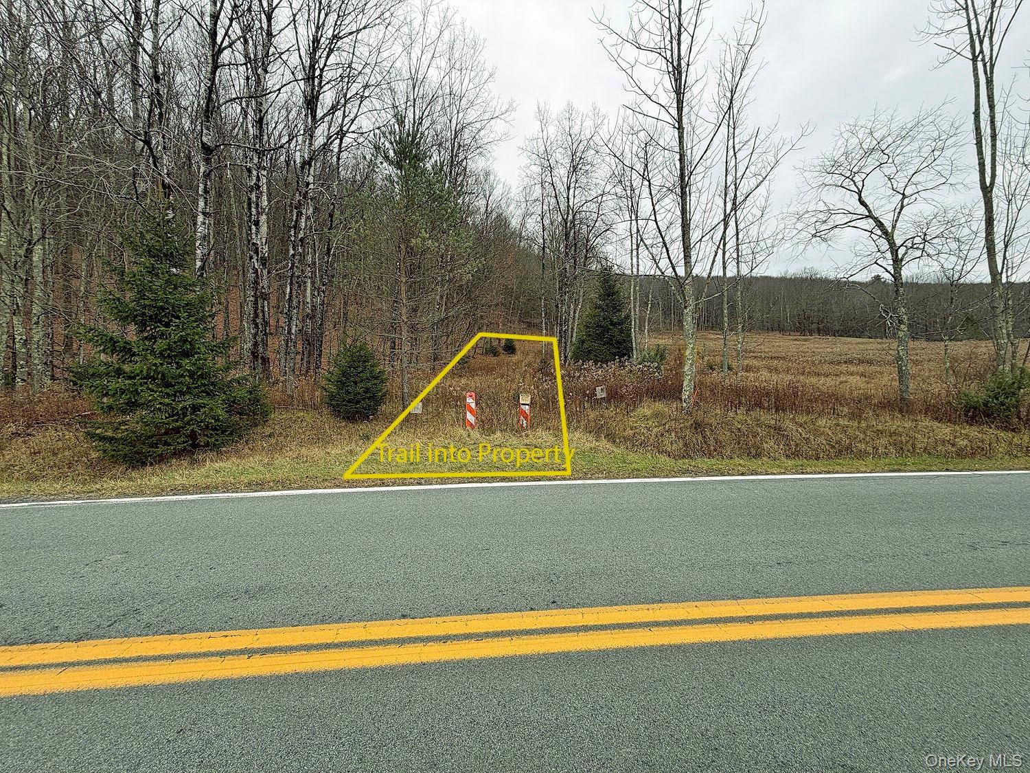 Single Family County Road 93 Sullivan County, NY 12776, MLS-937450-44
