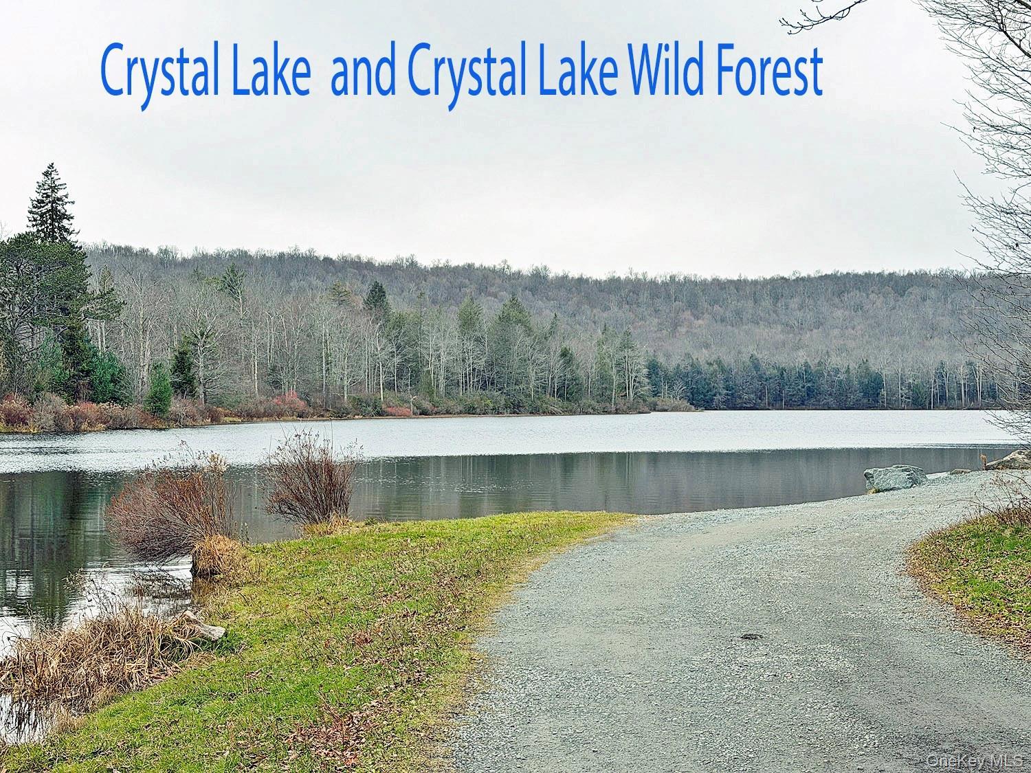 Single Family County Road 93  Sullivan County, NY 12776, MLS-937450-46