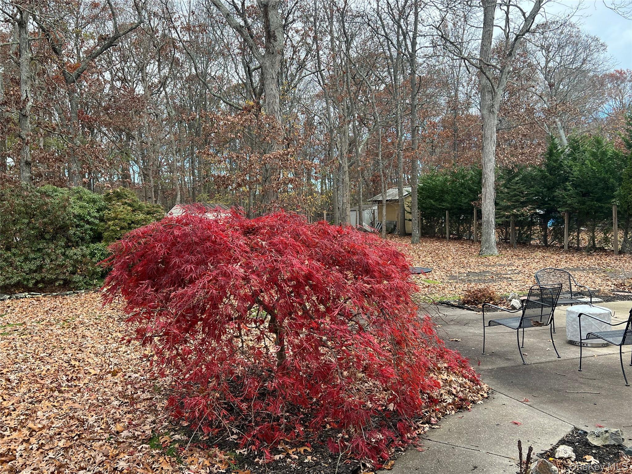 Single Family Crystal Beach  Suffolk County, NY 11955, MLS-937493-4