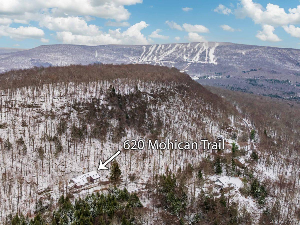 Single Family Mohican Delaware County, NY 12441, MLS-937531-30