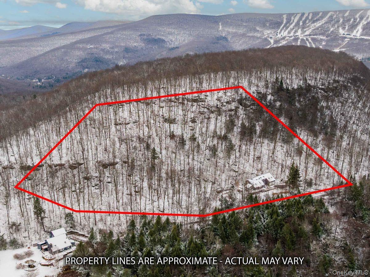 Single Family Mohican Delaware County, NY 12441, MLS-937531-31