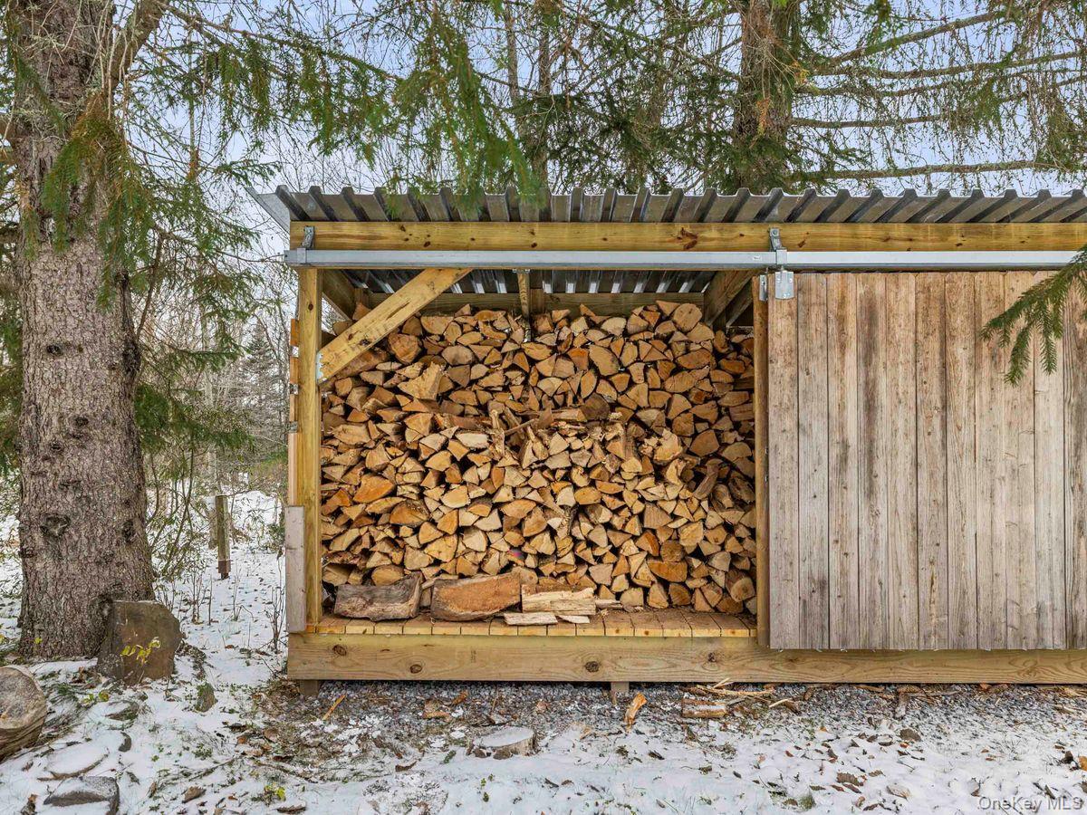 Single Family Mohican Delaware County, NY 12441, MLS-937531-32