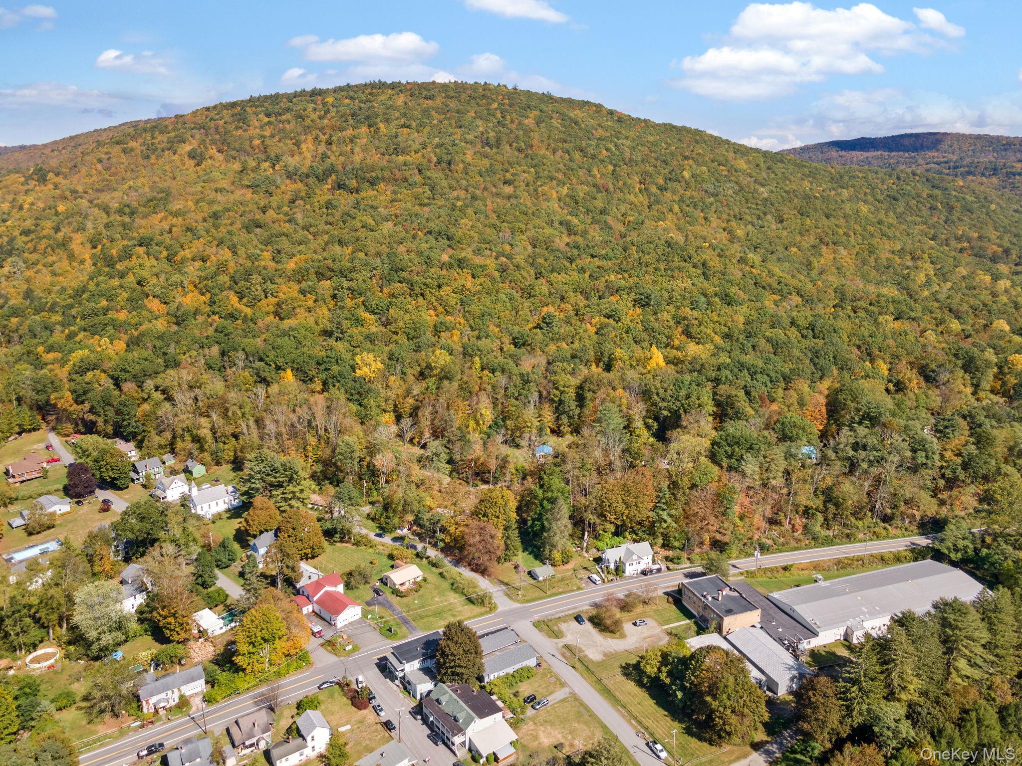 Single Family State Route 97  Sullivan County, NY 12760, MLS-937542-43