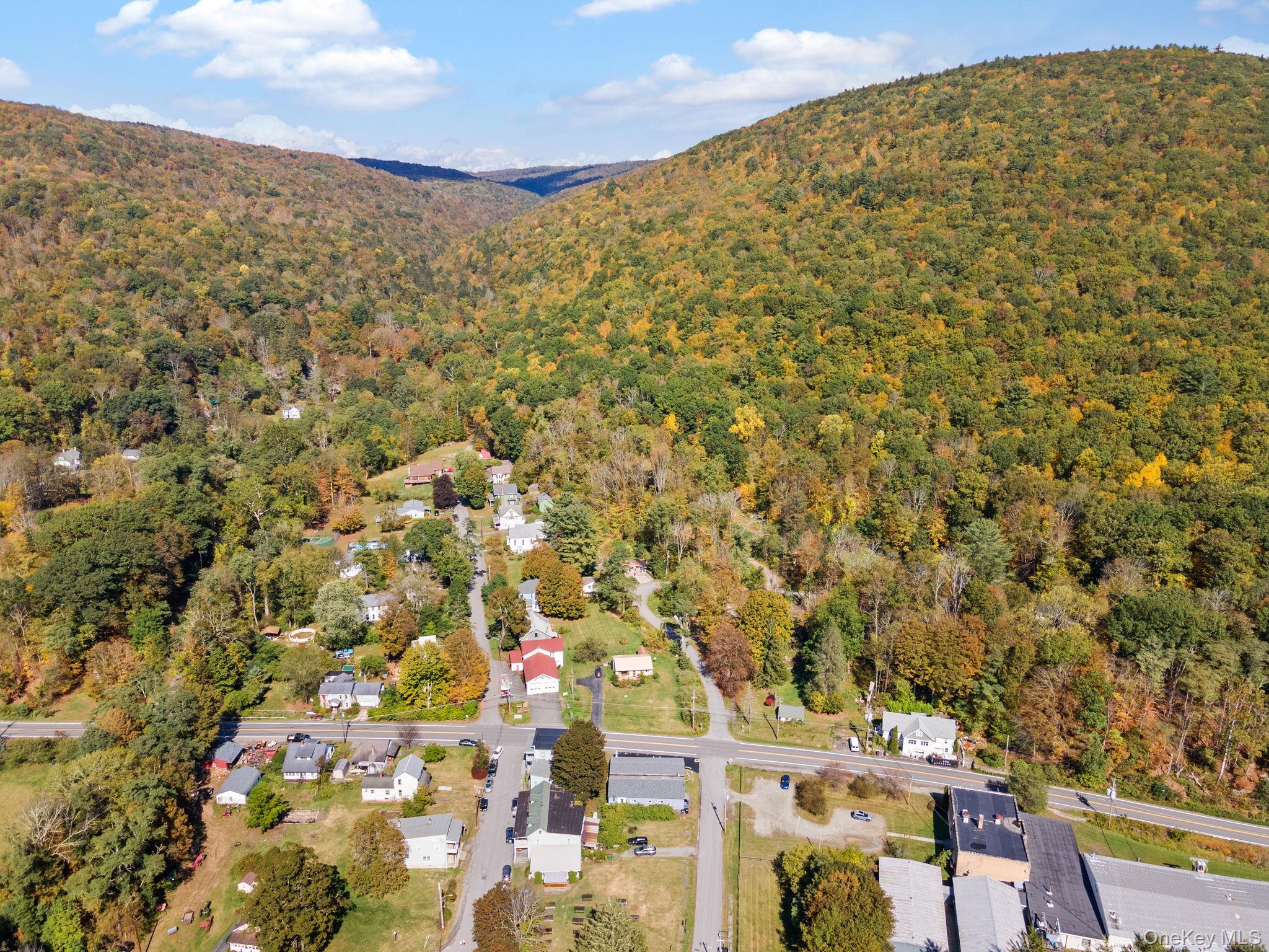 Single Family State Route 97  Sullivan County, NY 12760, MLS-937542-44