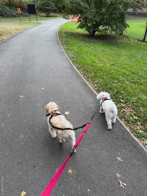 Condo Central  Manhattan, NY 10025, MLS-937616-24