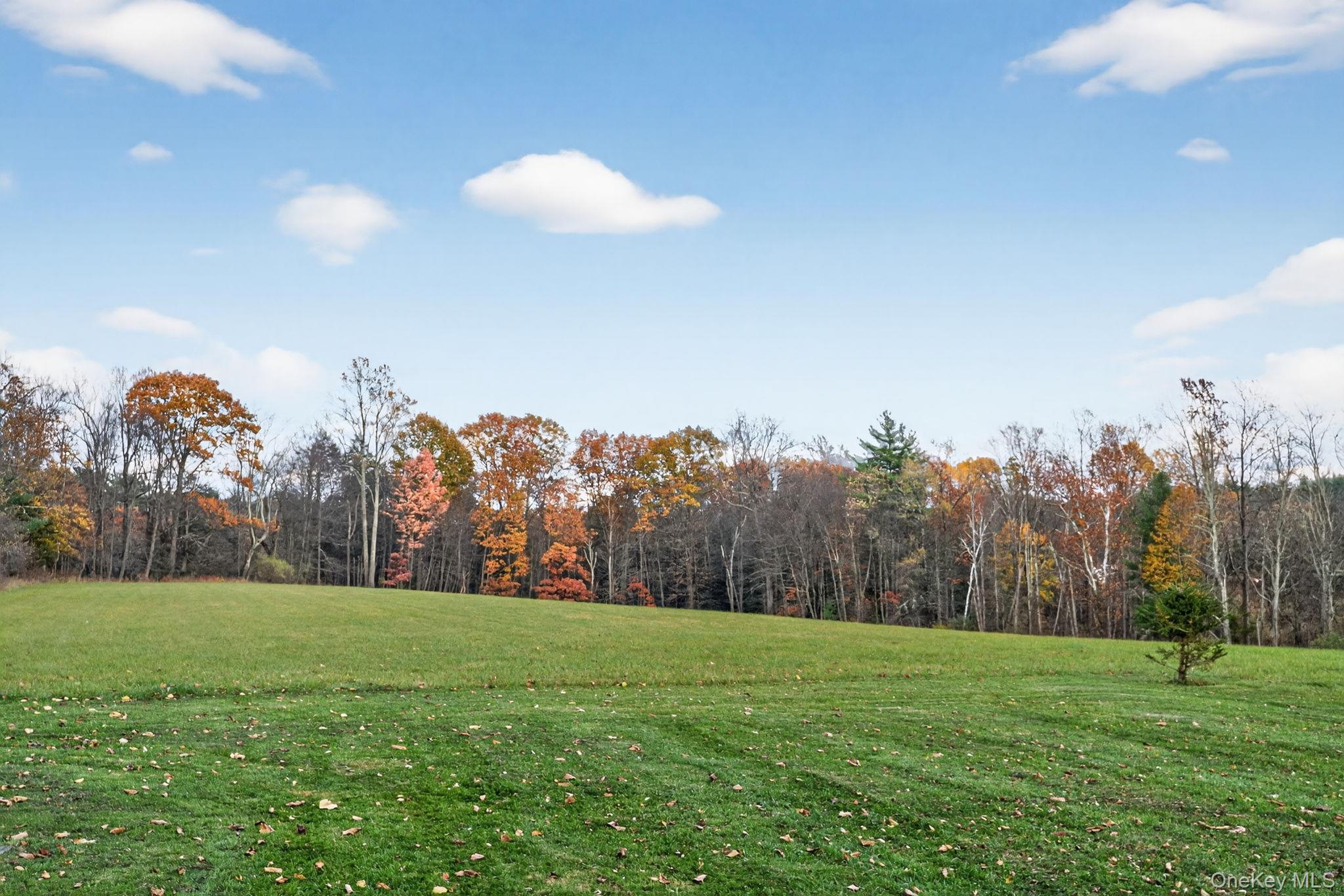 Single Family State Route 213 Ulster County, NY 12461, MLS-937666-25