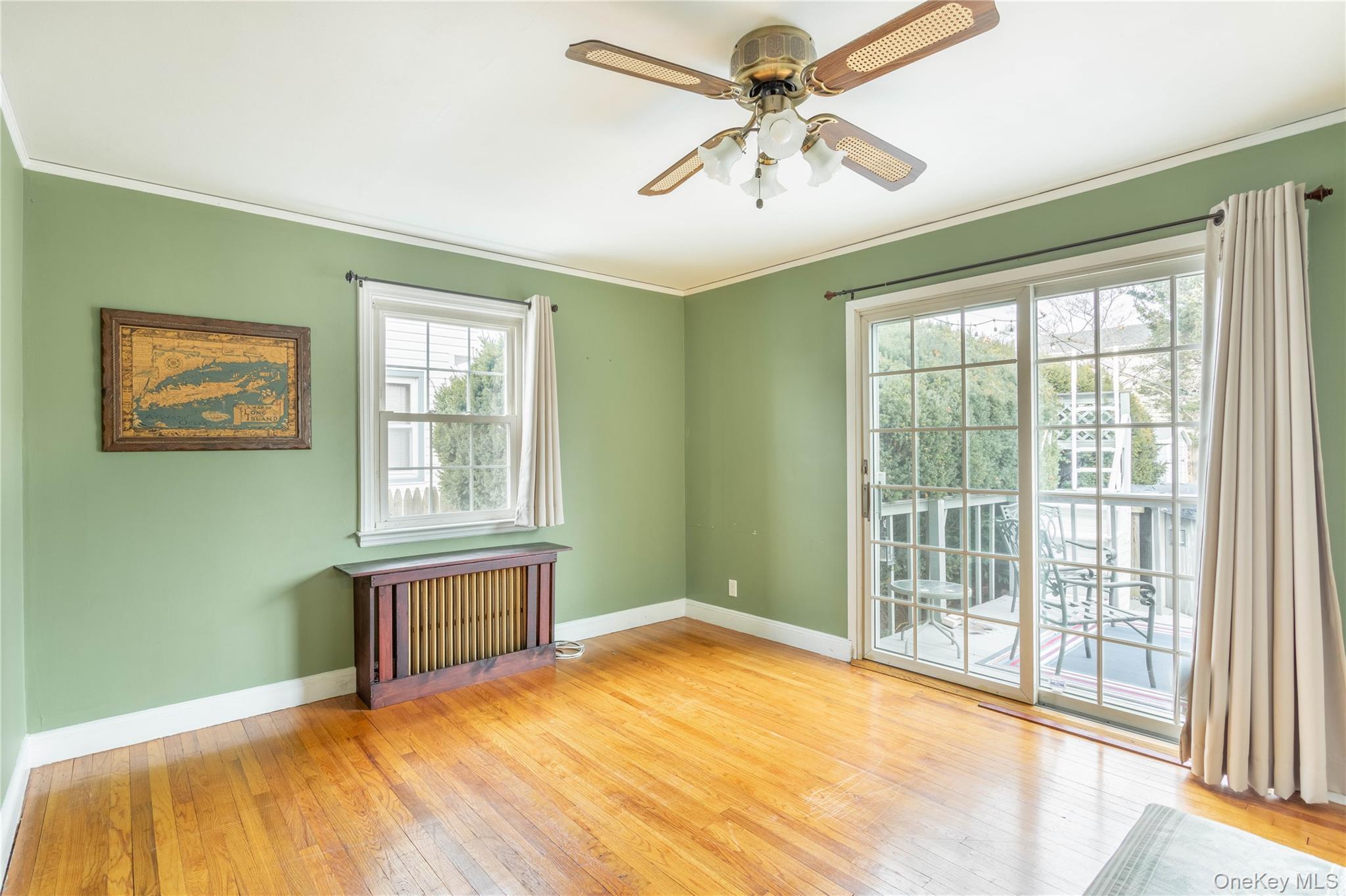 Single Family Polk Nassau County, NY 11010, MLS-937706-11