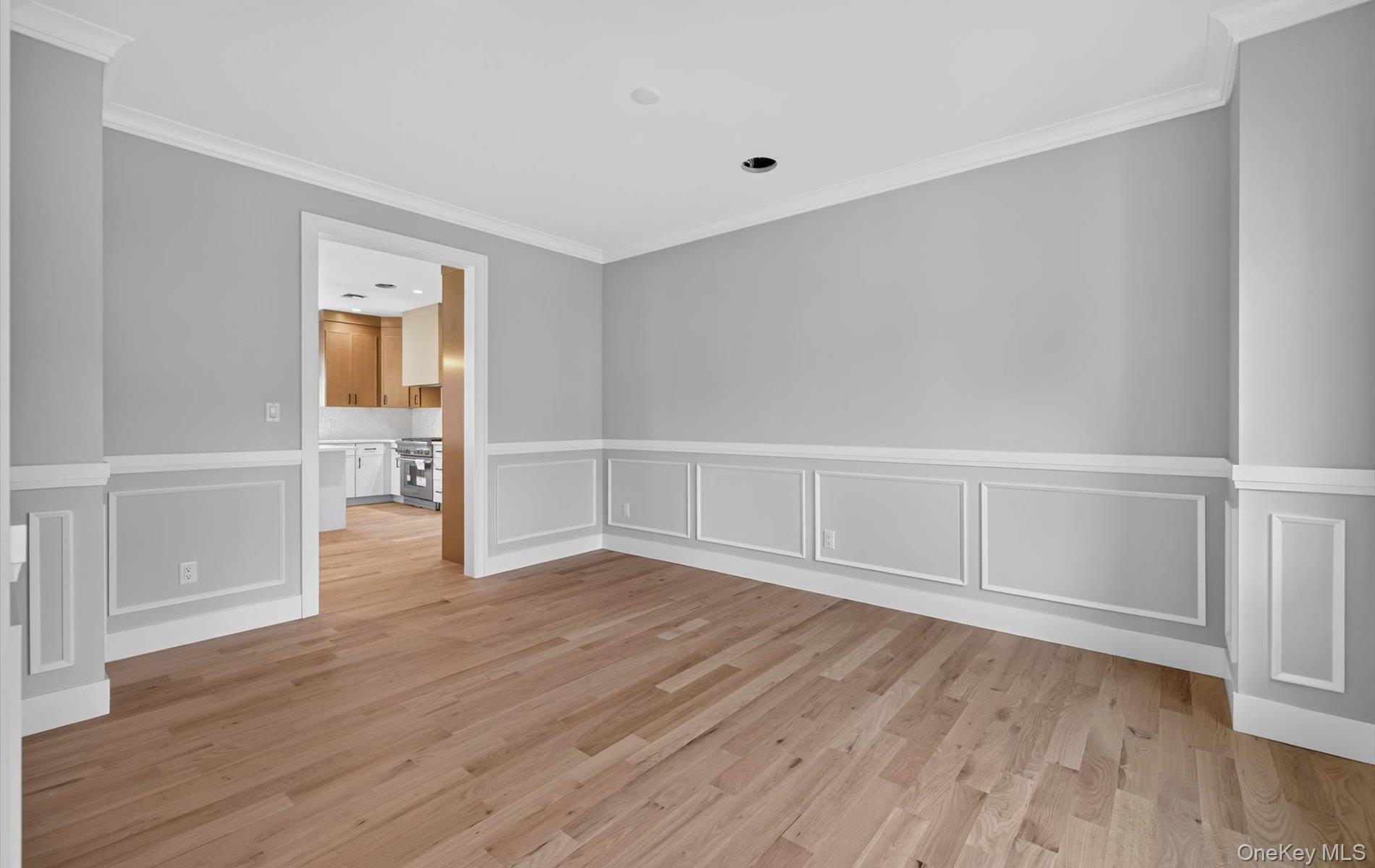Single Family San Juan Avenue  Nassau County, NY 11507, MLS-937731-15