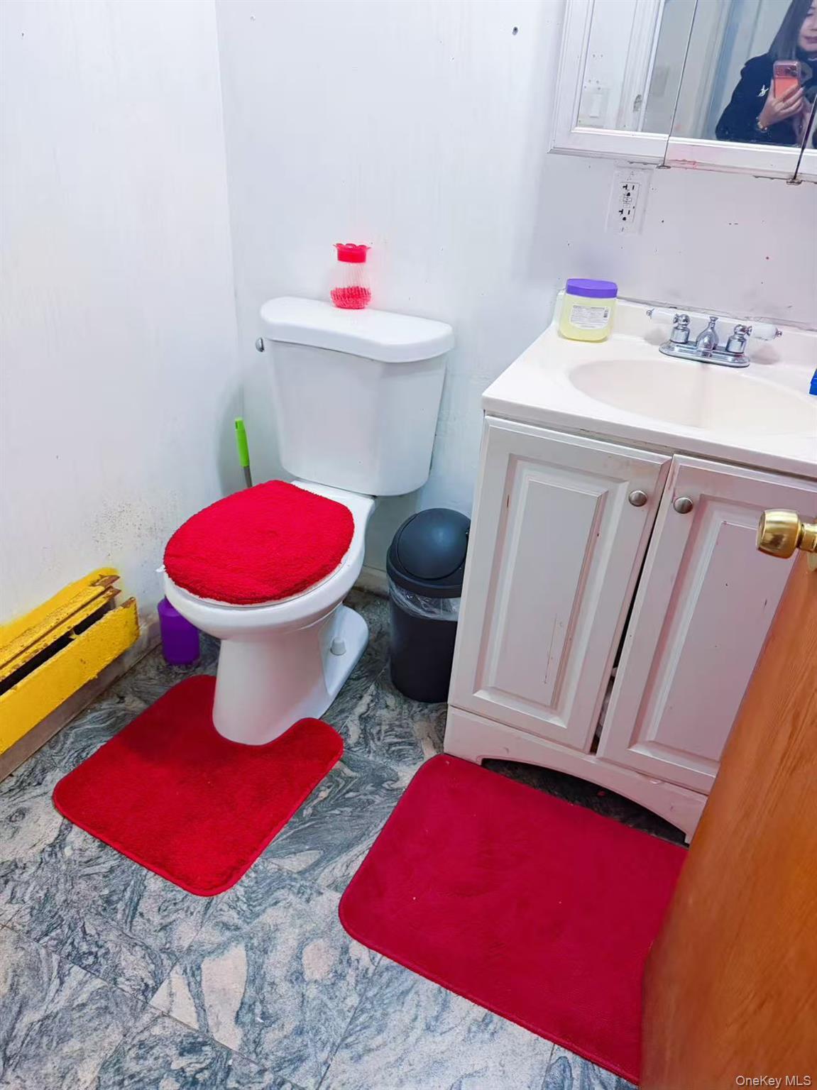 Single Family 119th  Queens, NY 11356, MLS-937903-9