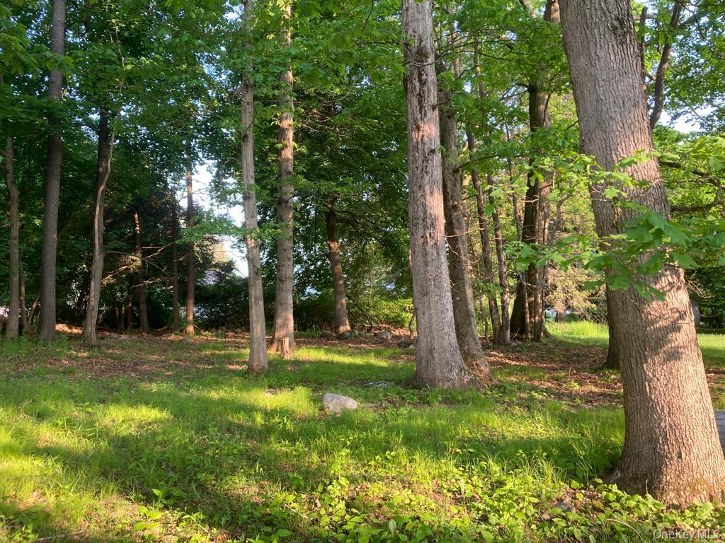 Single Family Wileman  Orange County, NY 12586, MLS-938060-11