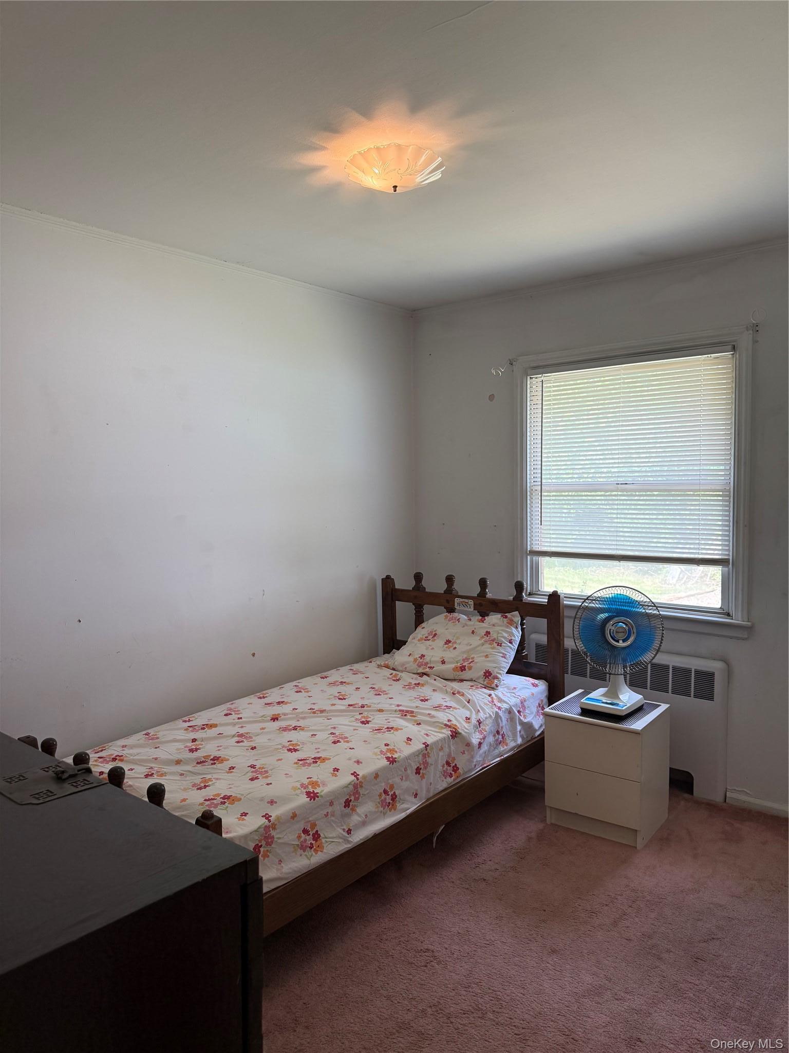 Single Family Oceanside Road  Nassau County, NY 11572, MLS-938089-11