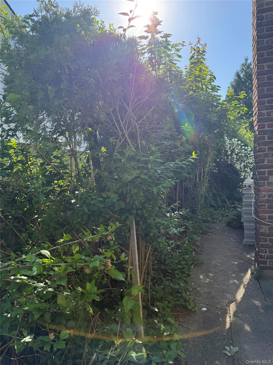 Single Family Oceanside Road  Nassau County, NY 11572, MLS-938089-20