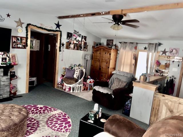 Single Family Delaware  Orange County, NY 12780, MLS-938101-6