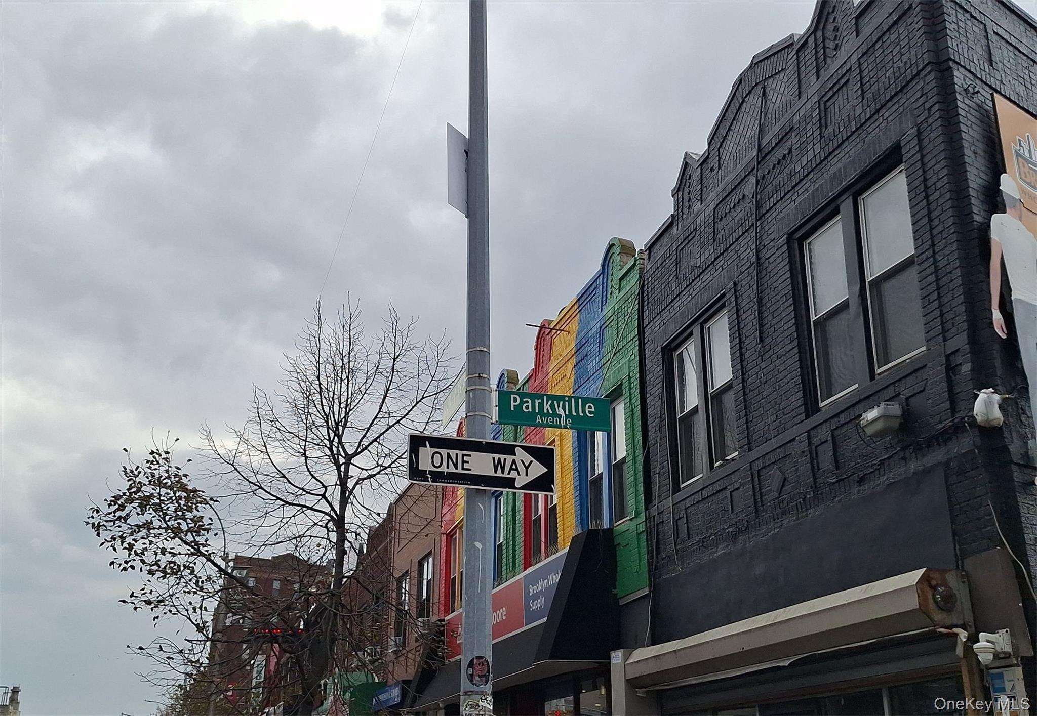 Single Family Parkville  Brooklyn, NY 11230, MLS-938154-3