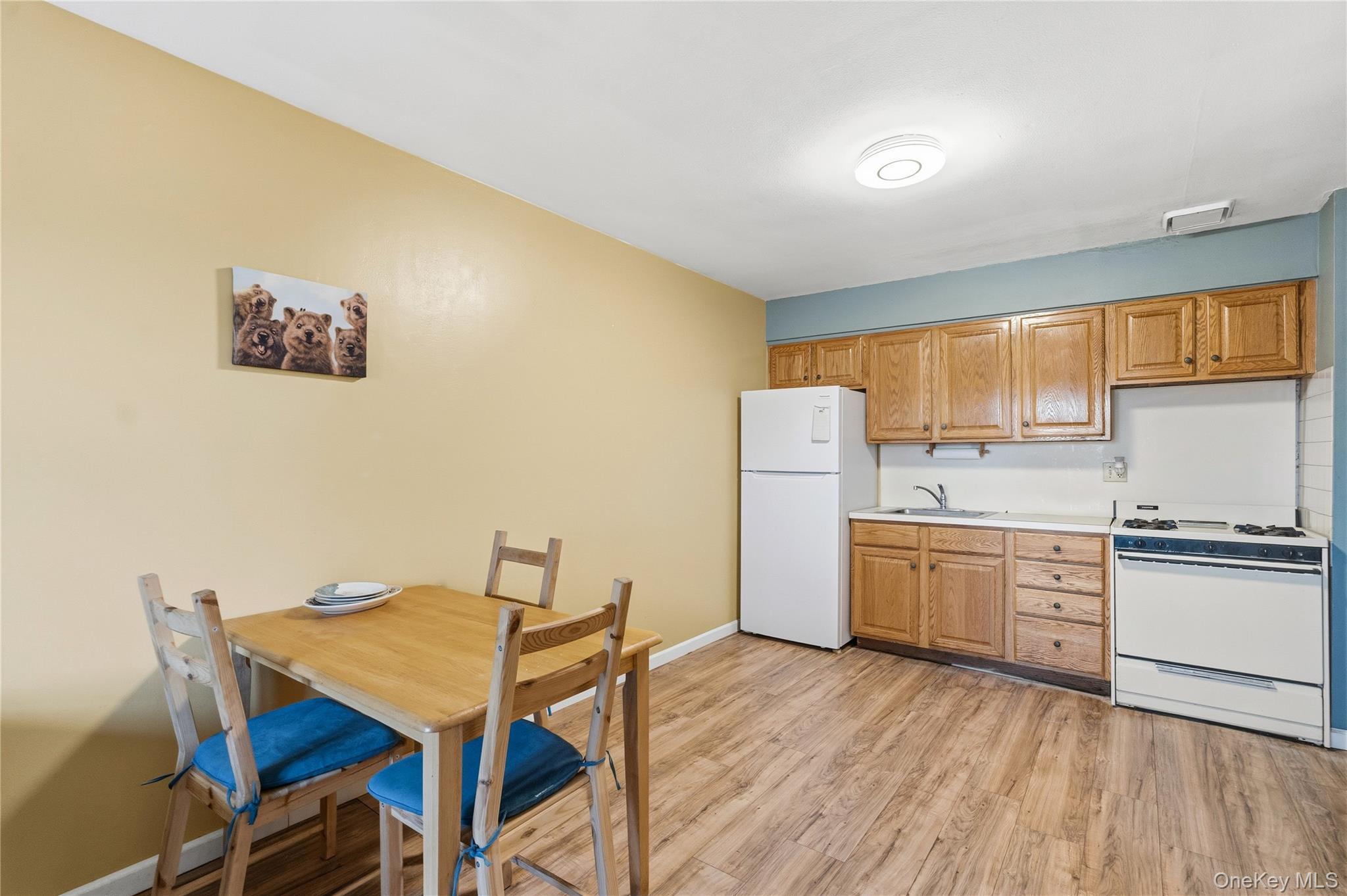 Single Family 88th  Queens, NY 11417, MLS-938191-7