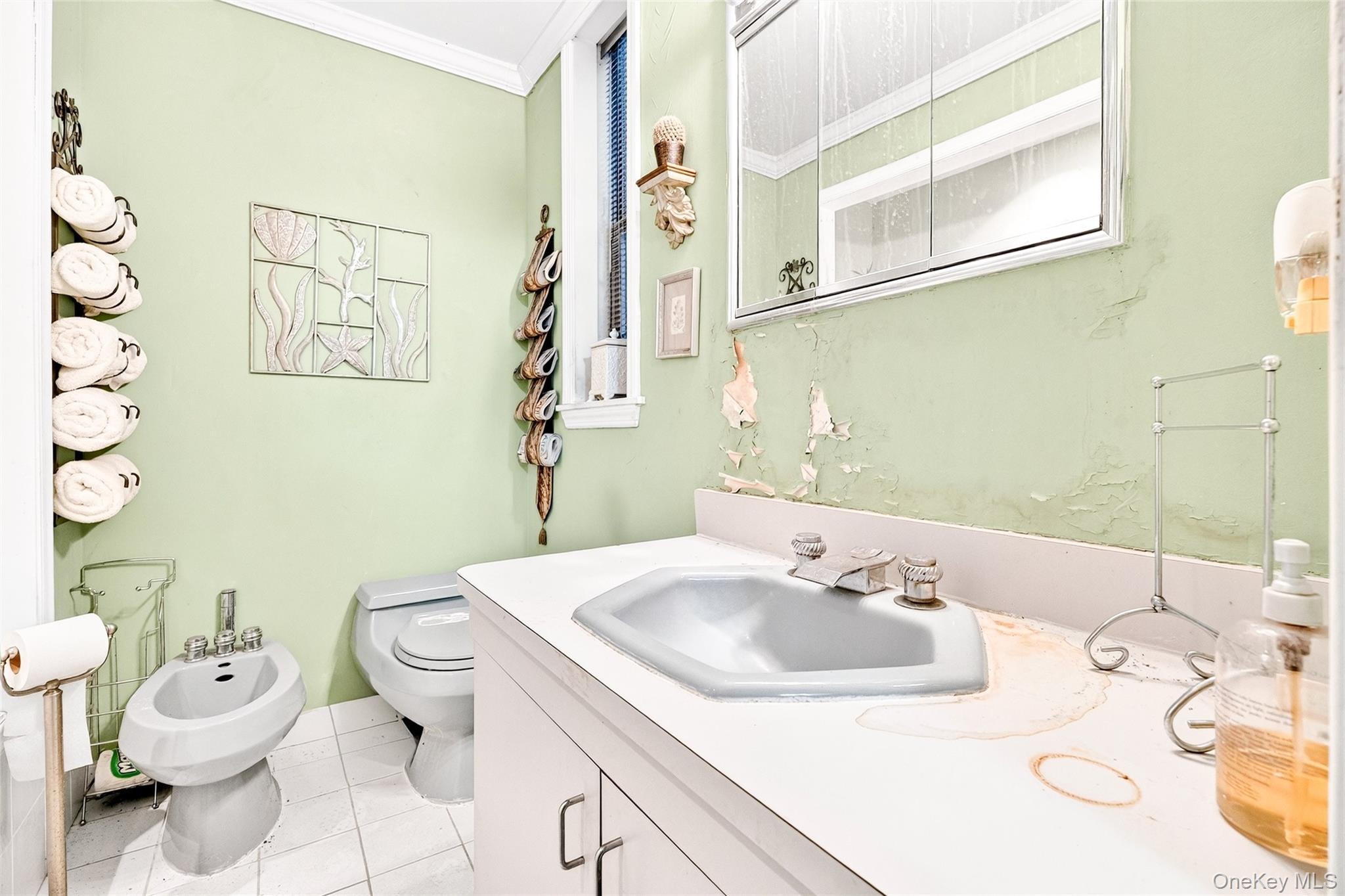 Commercial Sale Bronx Park  Bronx, NY 10460, MLS-938230-20