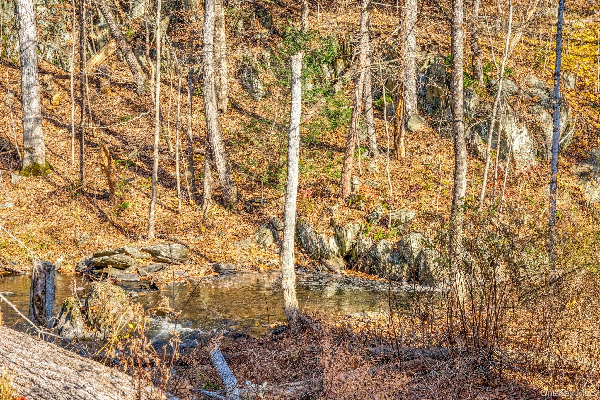 Single Family Market Dutchess County, NY 12538, MLS-938271-10