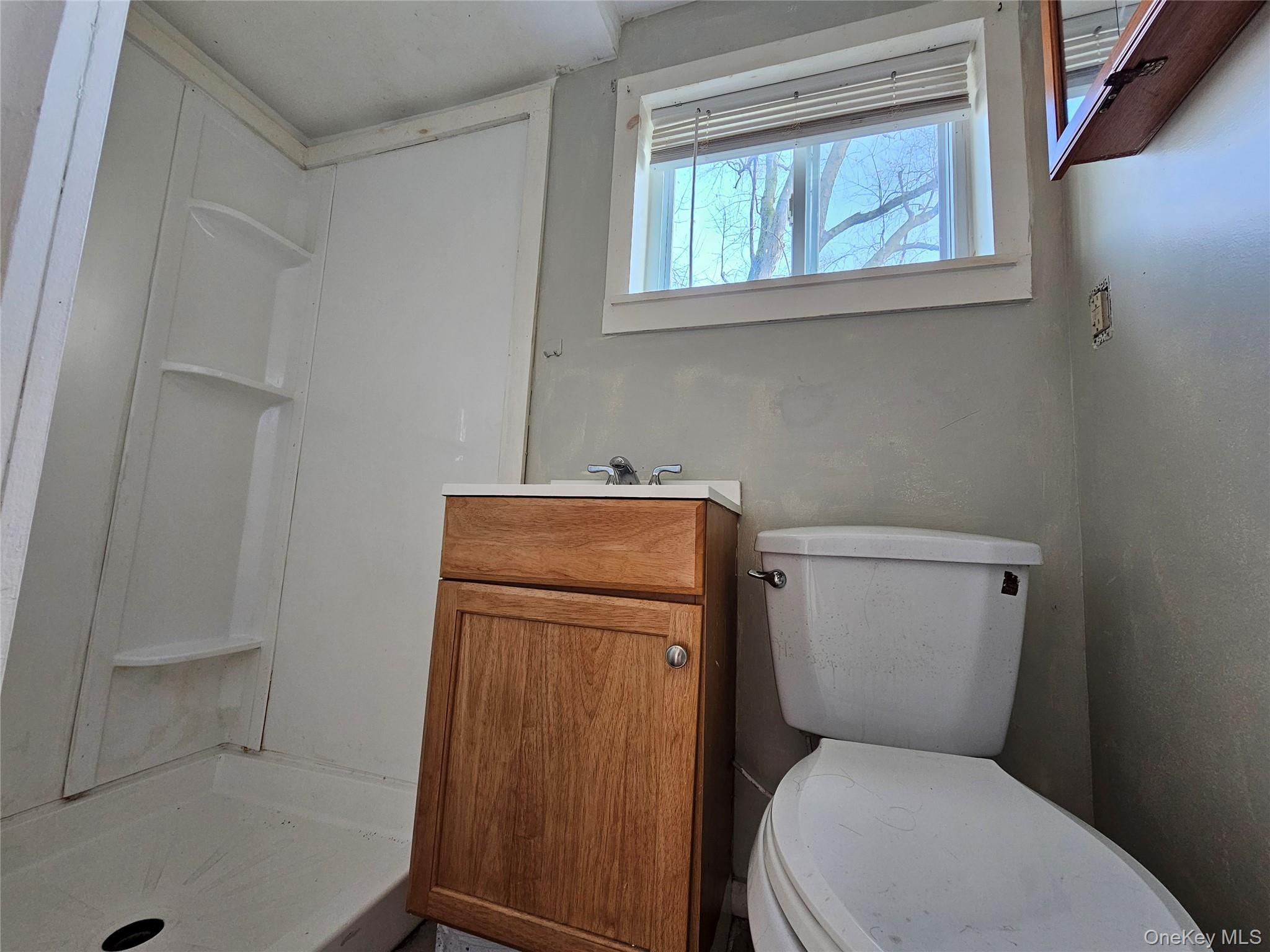 Single Family Pierce Orange County, NY 10958, MLS-938295-40