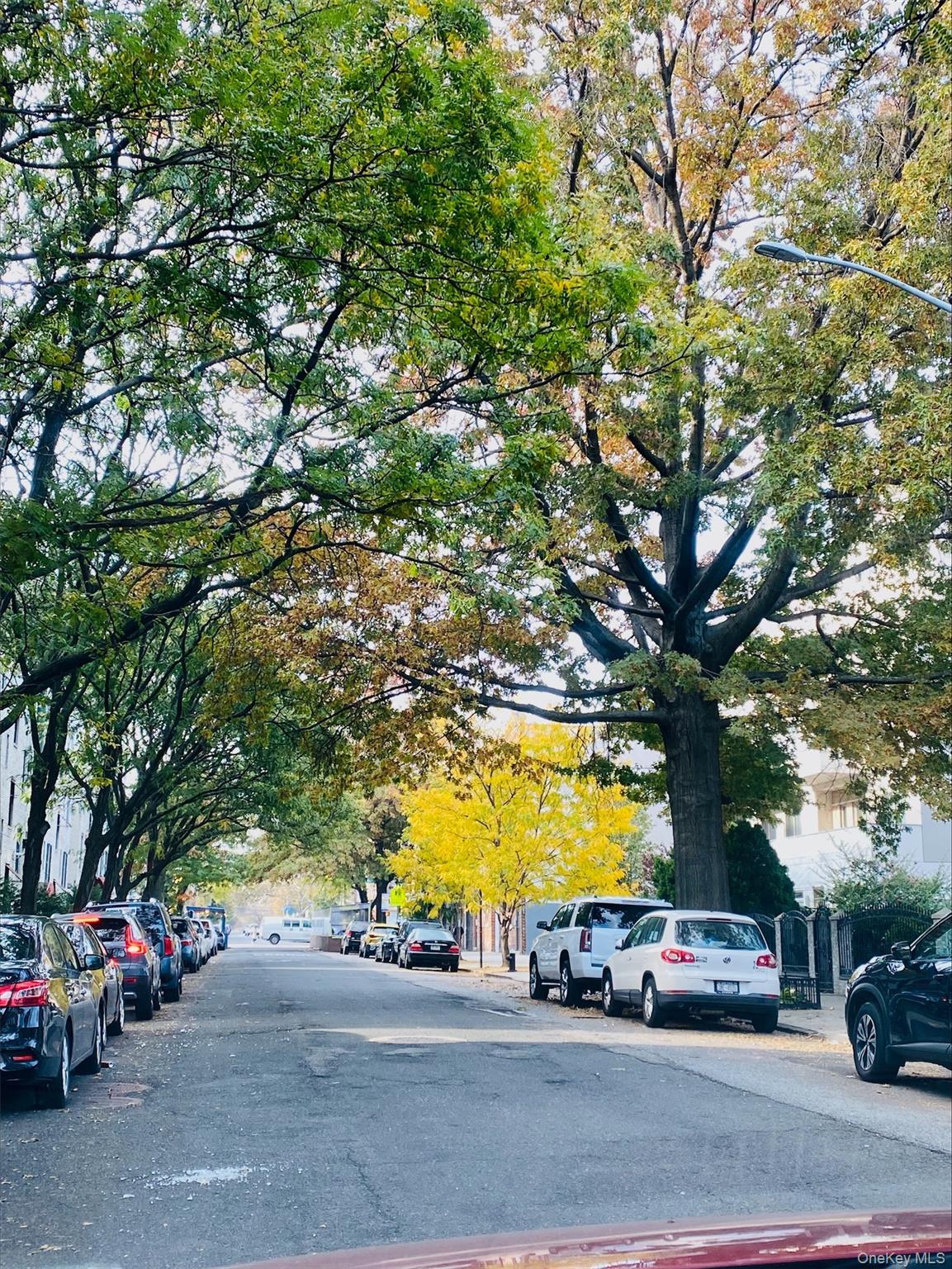 Apartment 33  Queens, NY 11105, MLS-938325-2