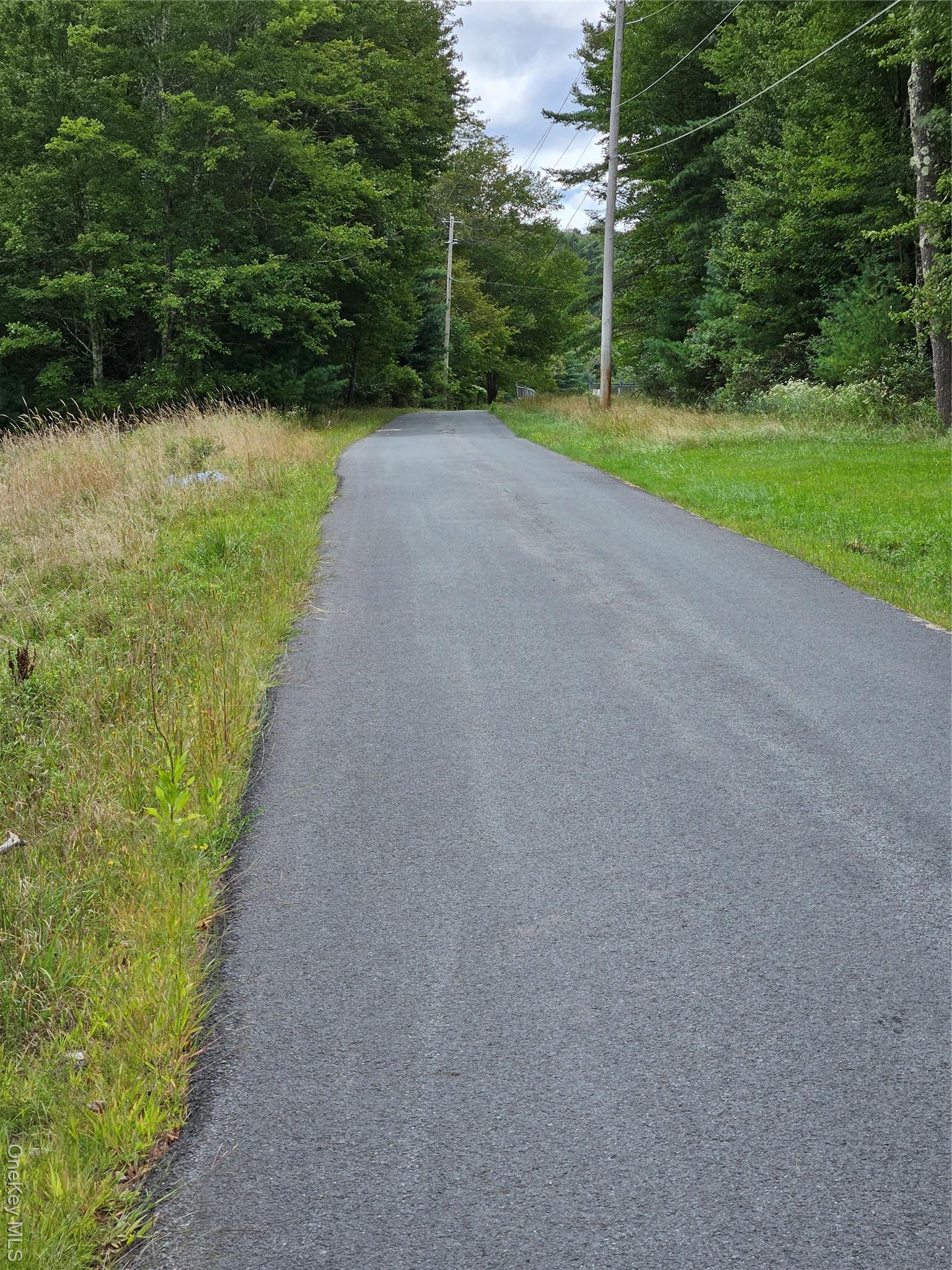 Single Family State Route 55  Sullivan County, NY 12720, MLS-938356-15