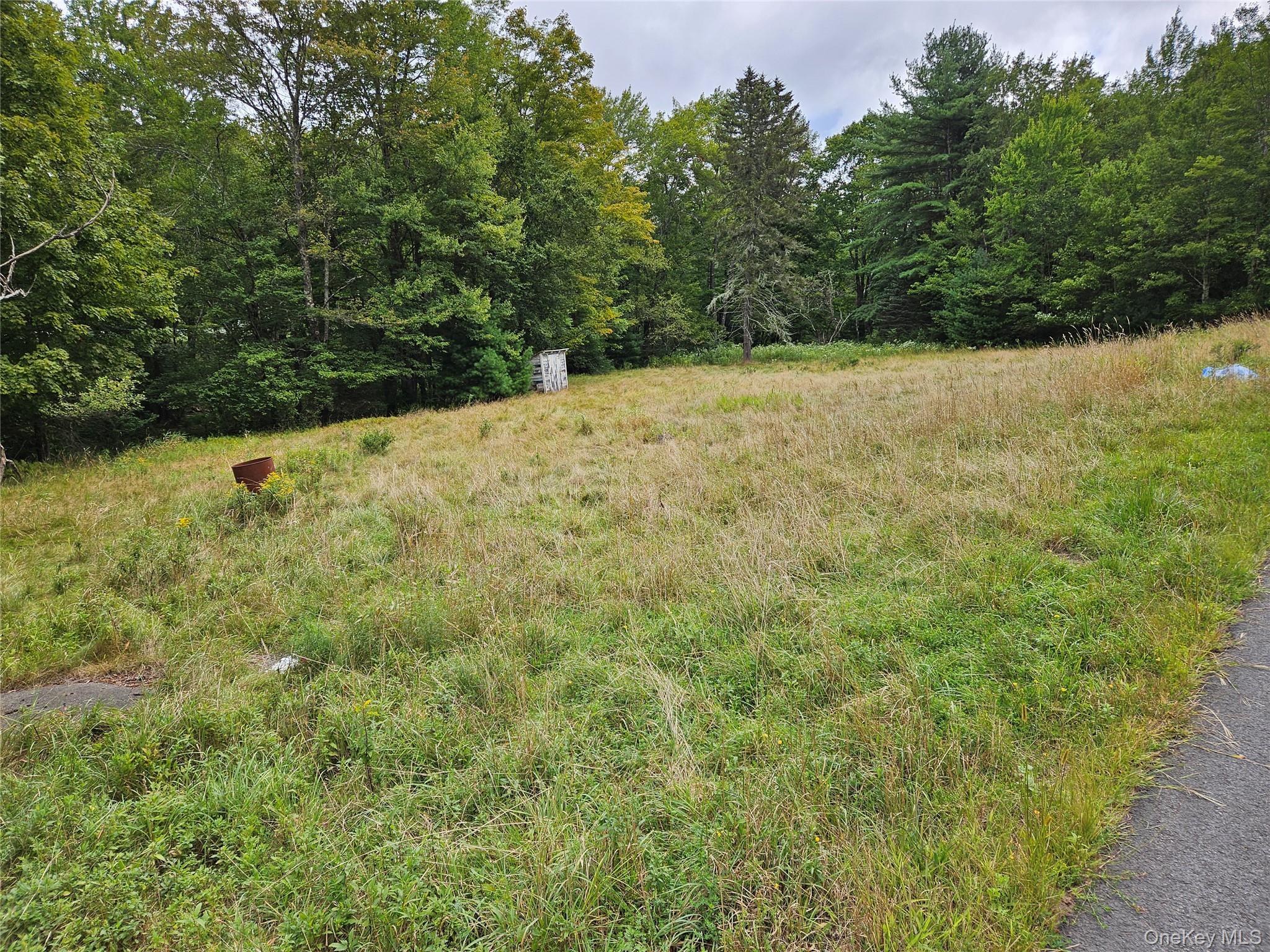 Single Family State Route 55  Sullivan County, NY 12720, MLS-938356-16