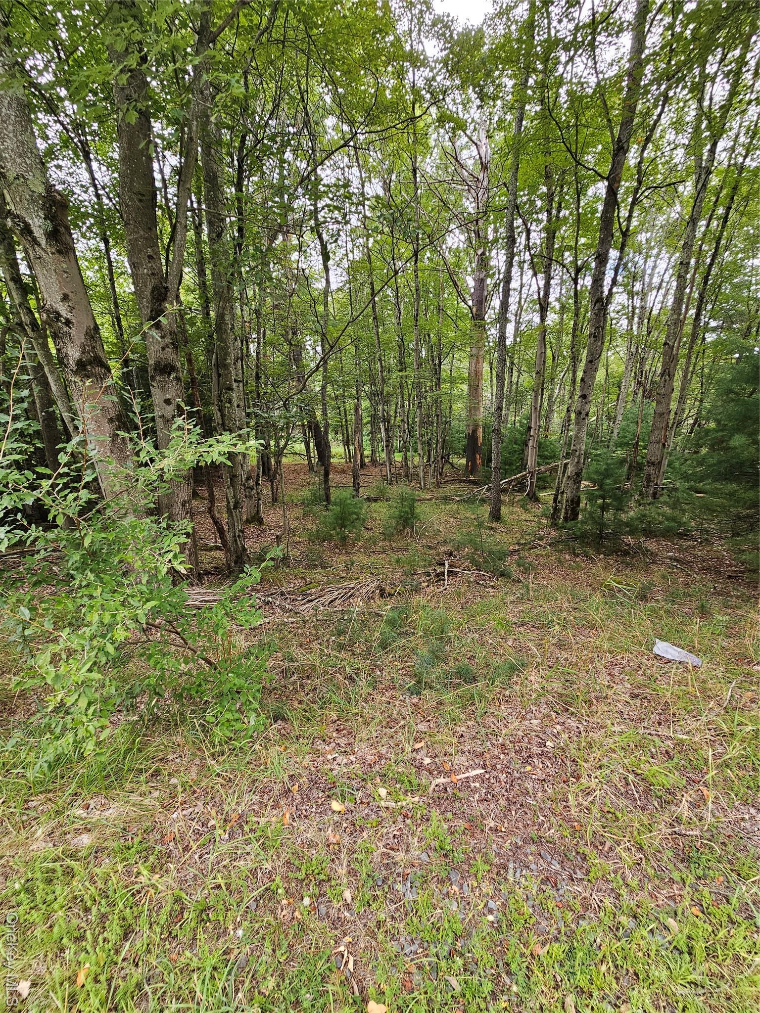 Single Family State Route 55  Sullivan County, NY 12720, MLS-938356-19