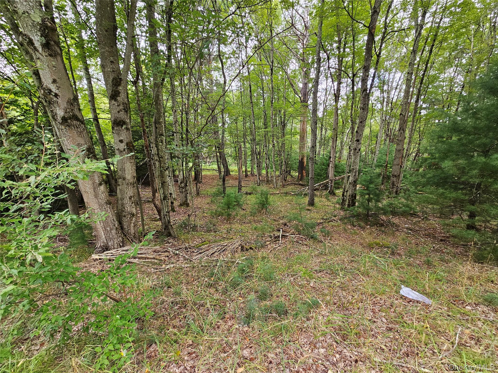 Single Family State Route 55  Sullivan County, NY 12720, MLS-938356-20