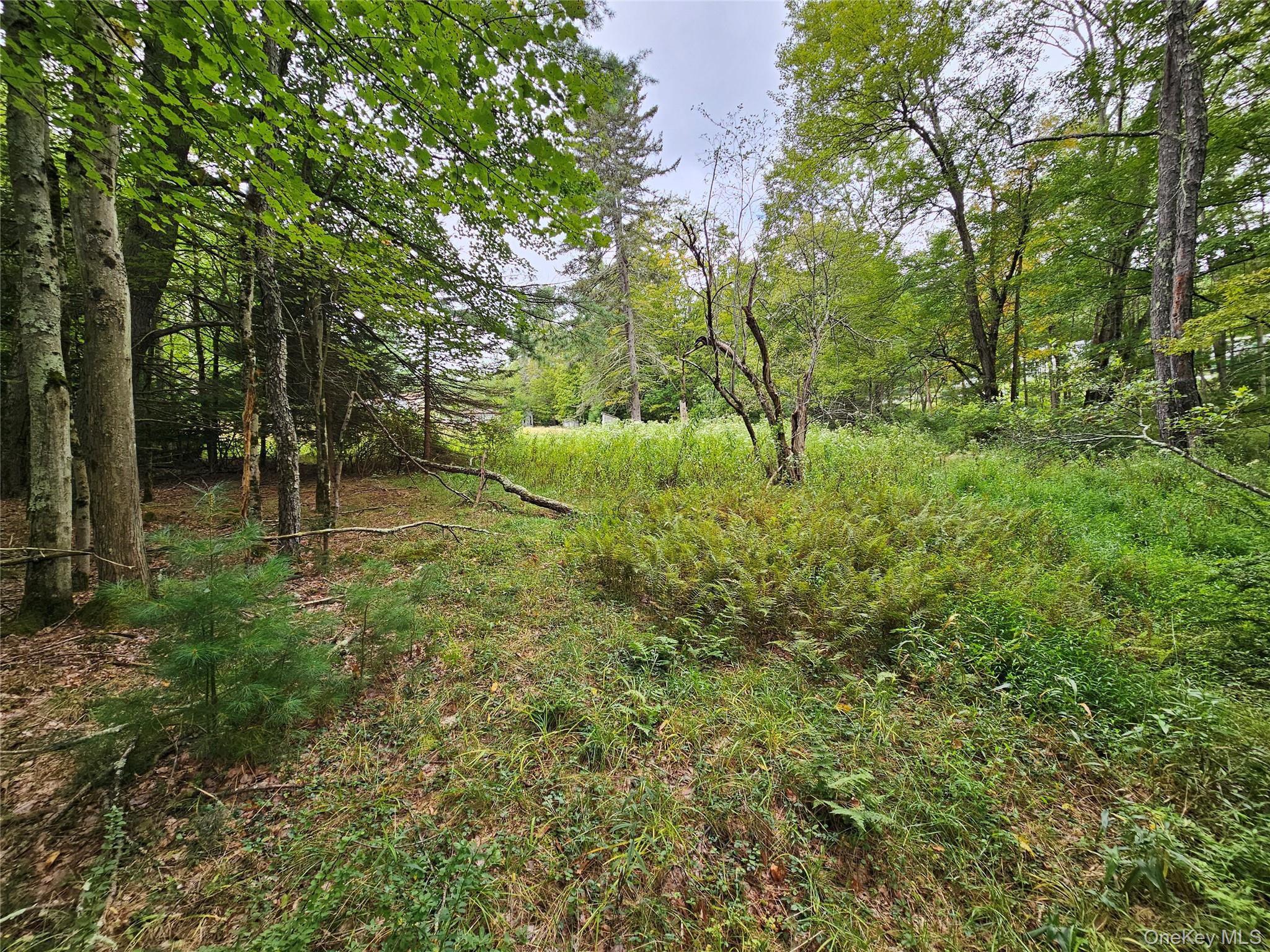 Single Family State Route 55  Sullivan County, NY 12720, MLS-938356-22