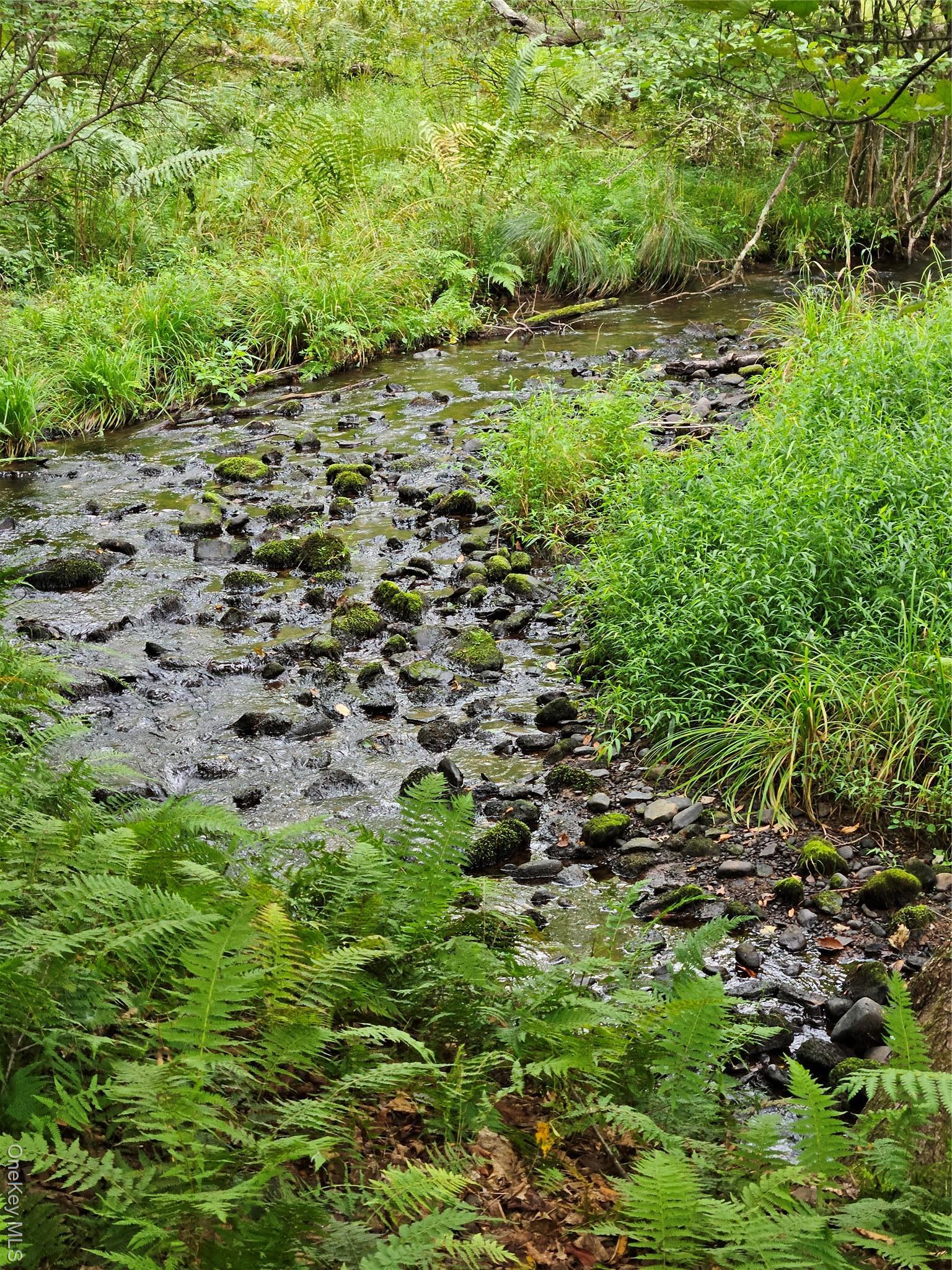 Single Family State Route 55  Sullivan County, NY 12720, MLS-938356-26