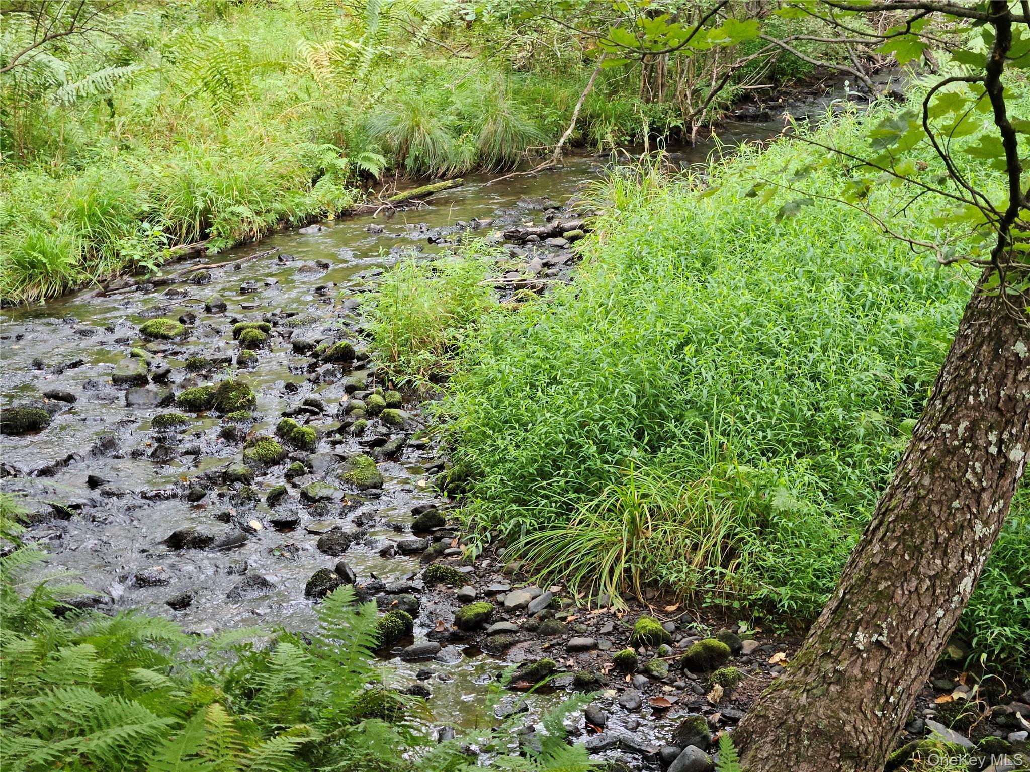 Single Family State Route 55  Sullivan County, NY 12720, MLS-938356-27