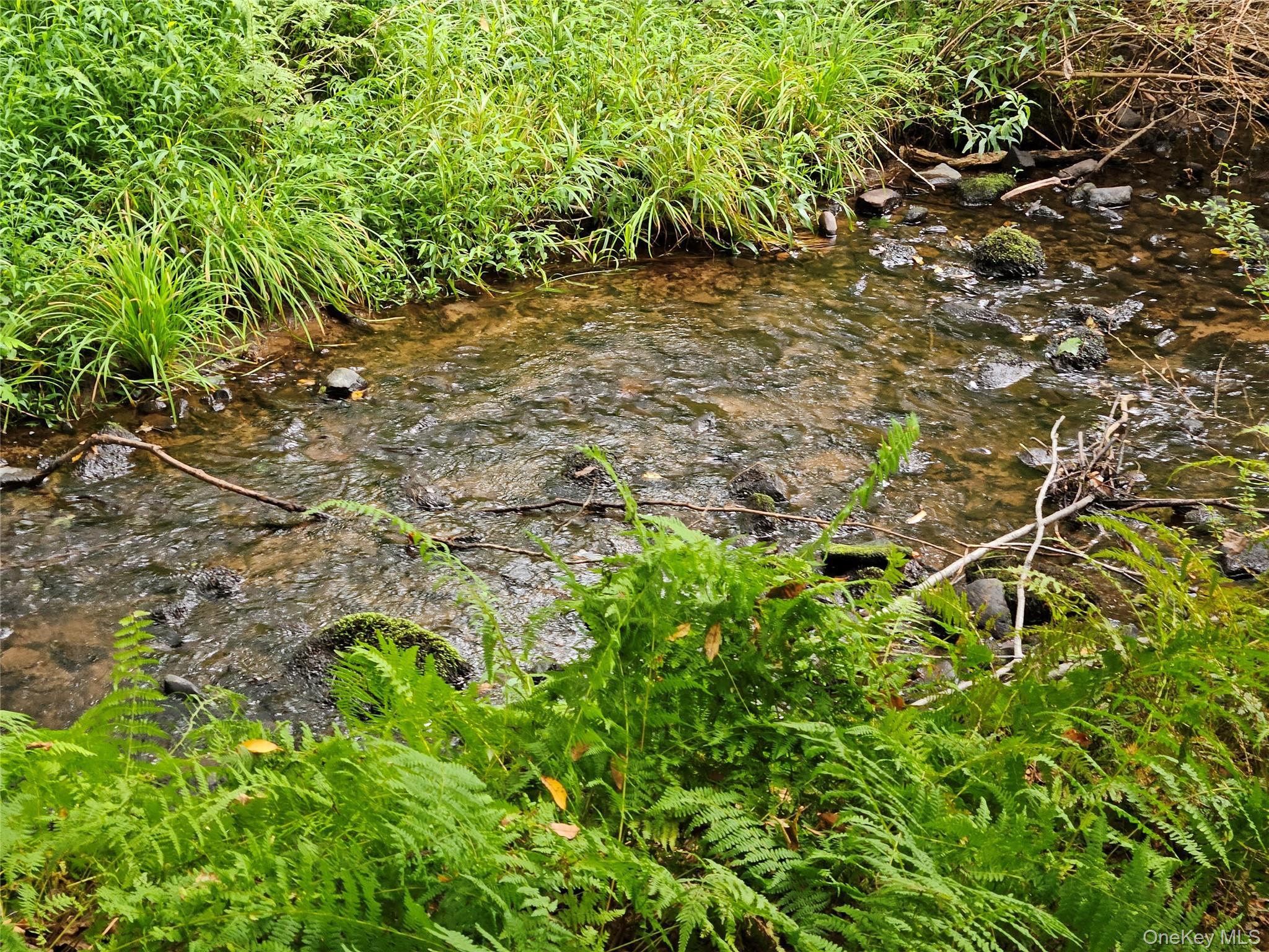 Single Family State Route 55  Sullivan County, NY 12720, MLS-938356-28