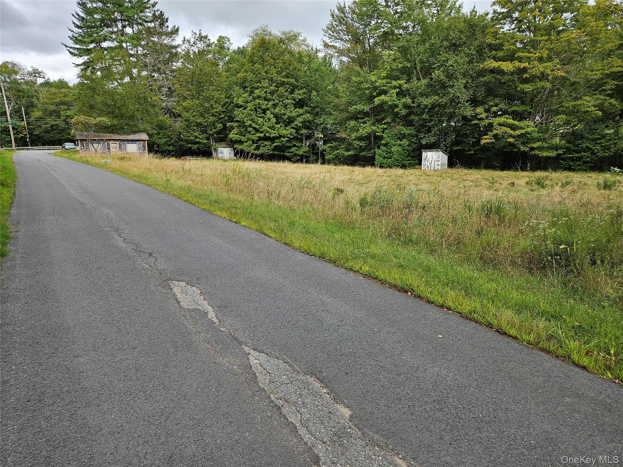 Single Family State Route 55  Sullivan County, NY 12720, MLS-938356-29