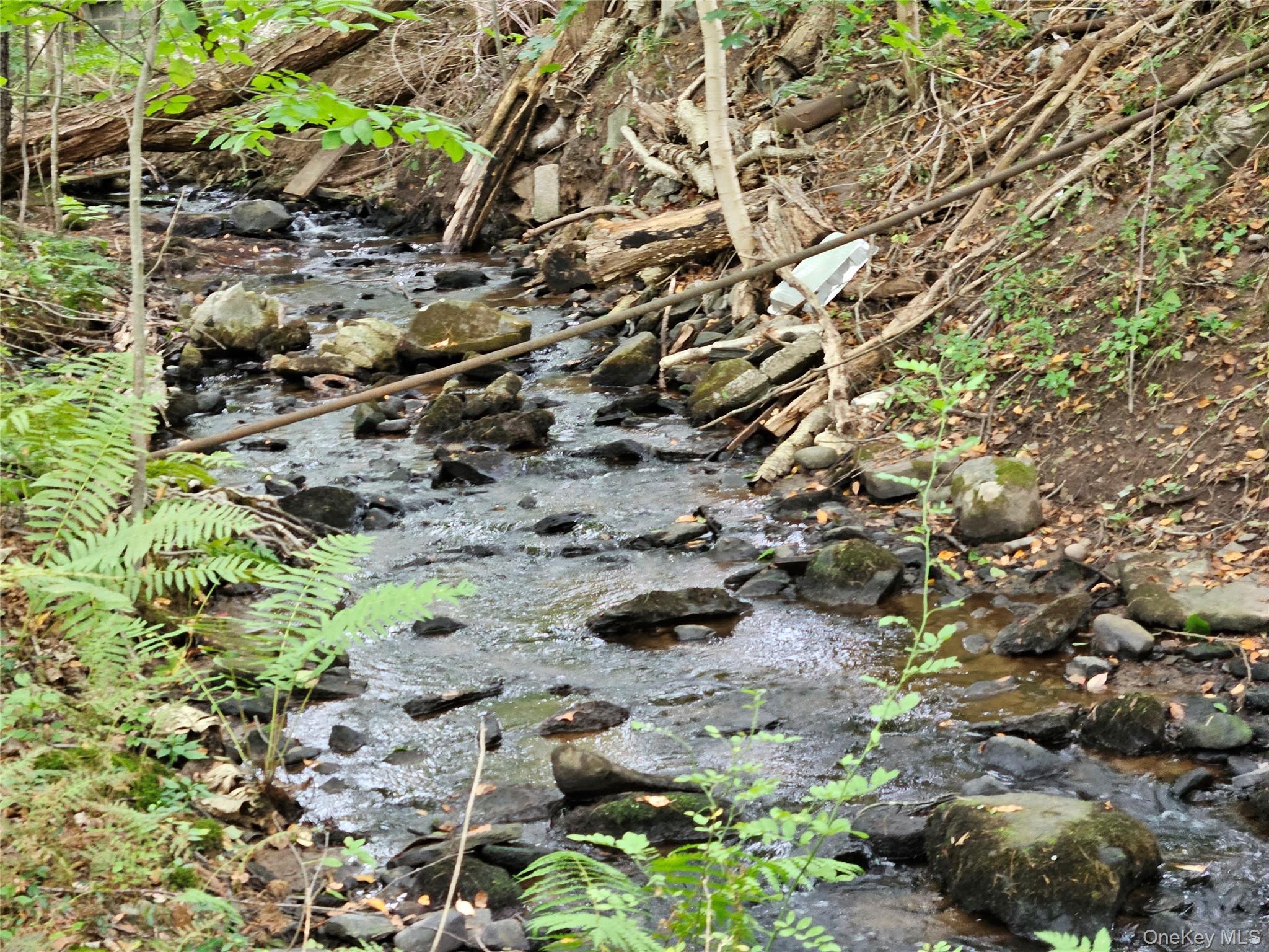 Single Family State Route 55  Sullivan County, NY 12720, MLS-938356-34