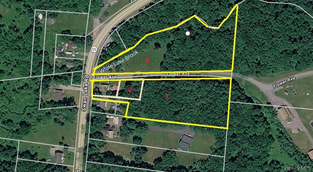Single Family State Route 55 Sullivan County, NY 12720, MLS-938356-46
