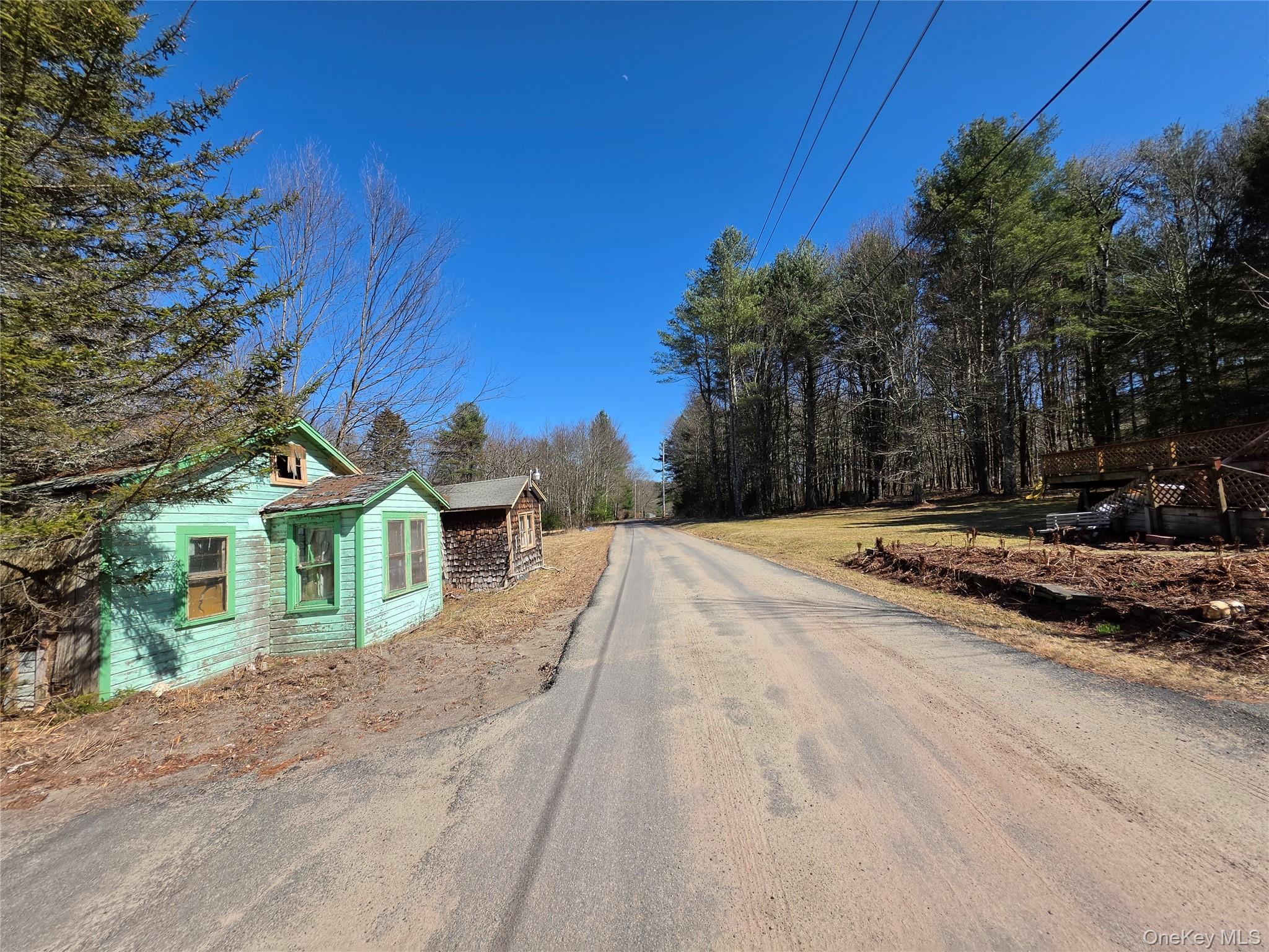 Single Family State Route 55 Sullivan County, NY 12720, MLS-938356-49