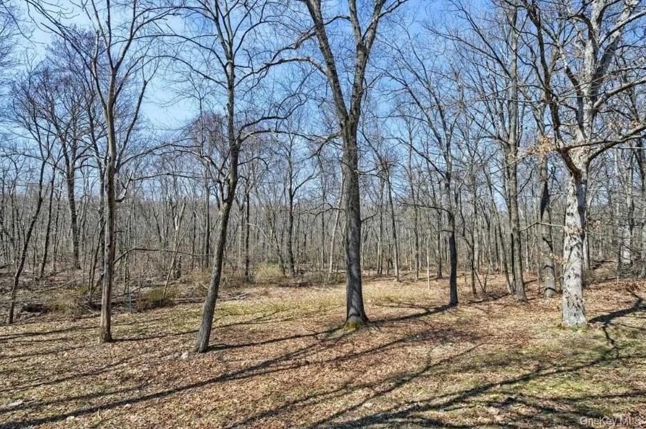 Single Family Rose  Dutchess County, NY 12590, MLS-938401-23