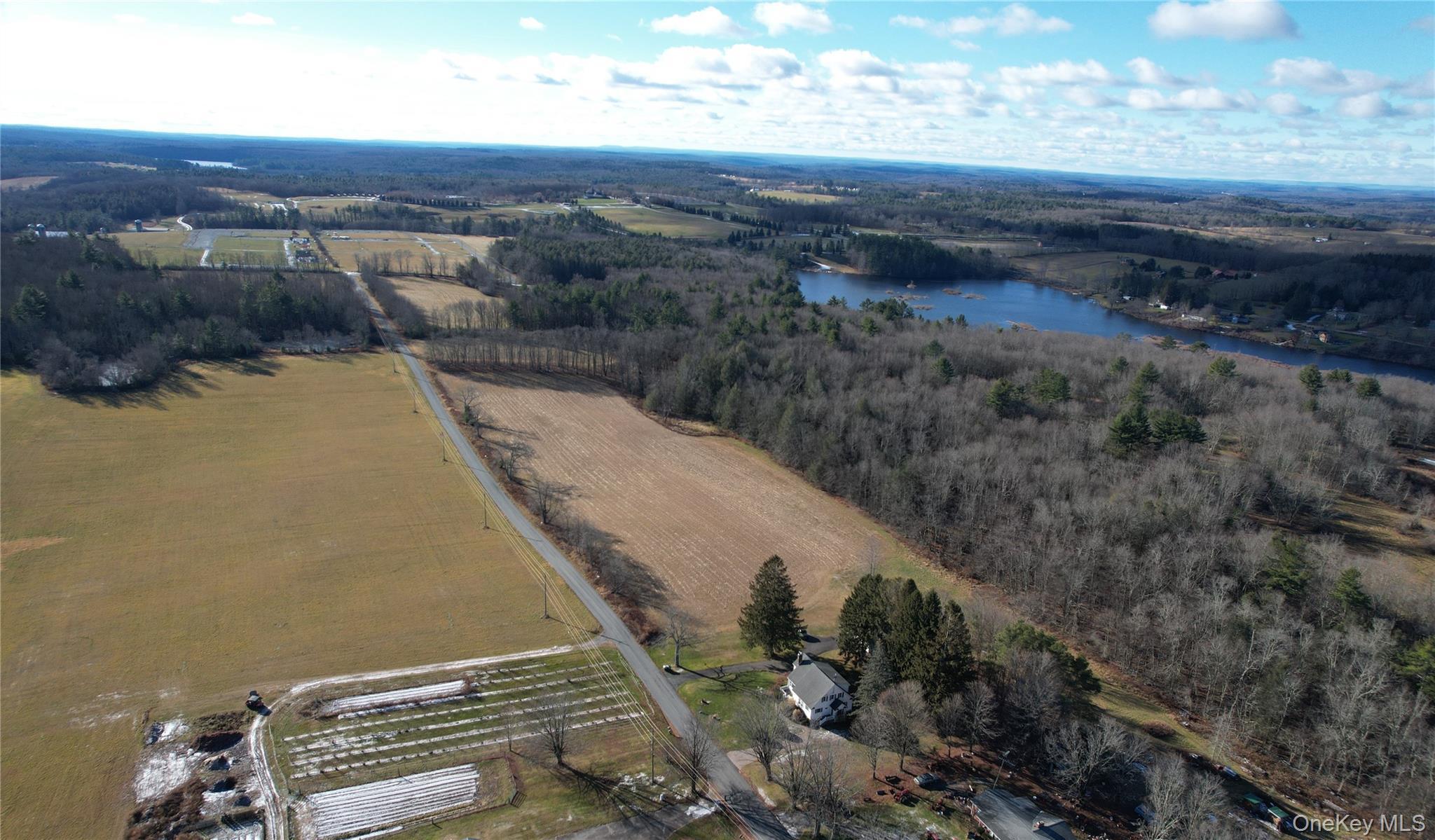 Single Family Best  Sullivan County, NY 12783, MLS-938403-40