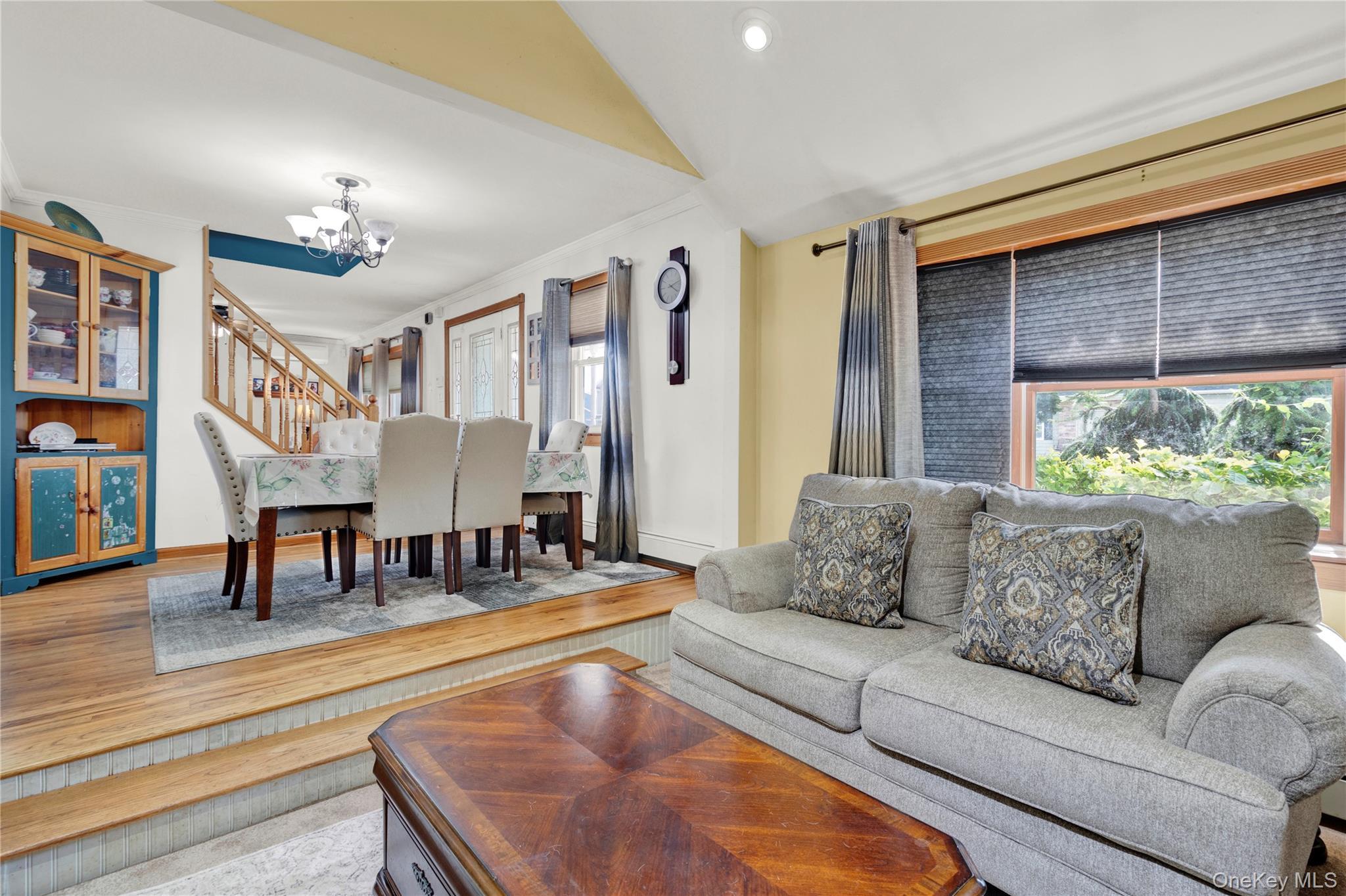 Single Family Cottage Boulevard Nassau County, NY 11801, MLS-938500-8