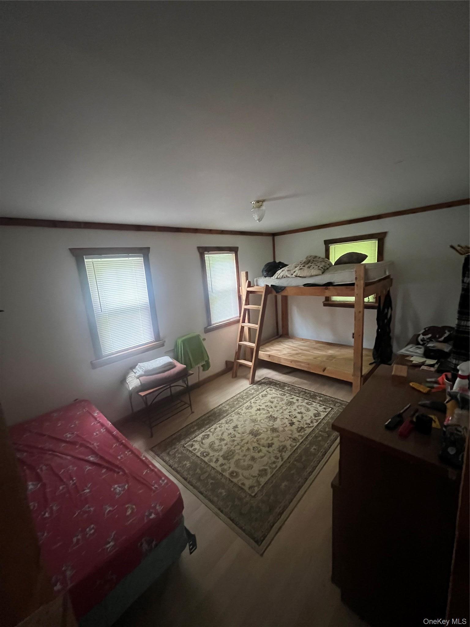 Single Family Hunter  Dutchess County, NY 12592, MLS-938516-15
