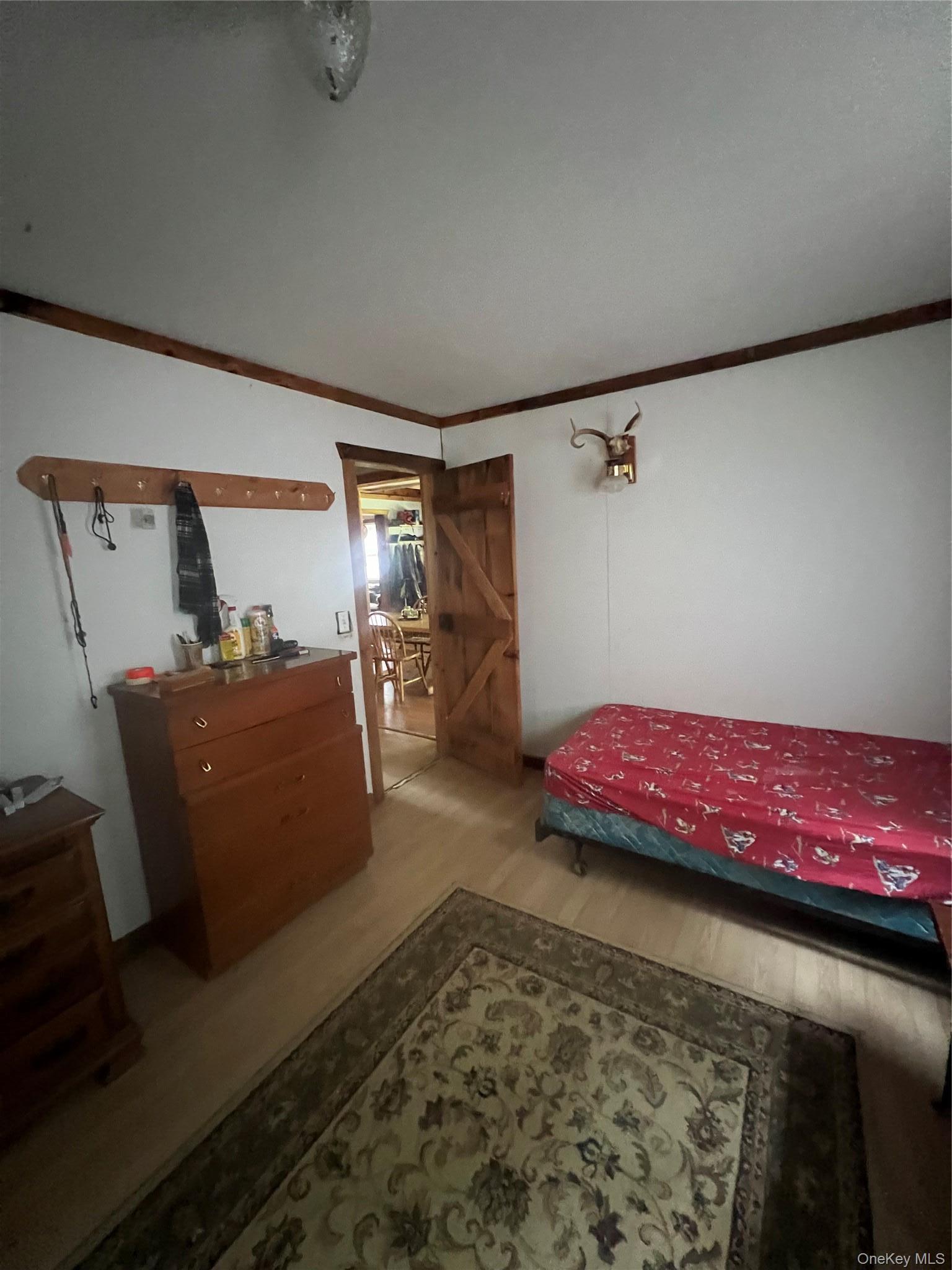 Single Family Hunter  Dutchess County, NY 12592, MLS-938516-17