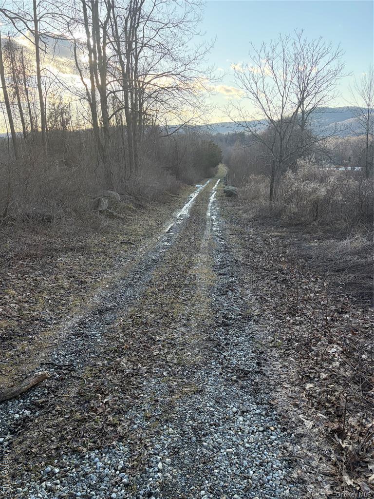 Single Family Hunter  Dutchess County, NY 12592, MLS-938516-20