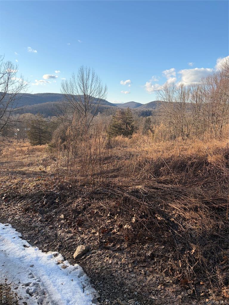 Single Family Hunter  Dutchess County, NY 12592, MLS-938516-21