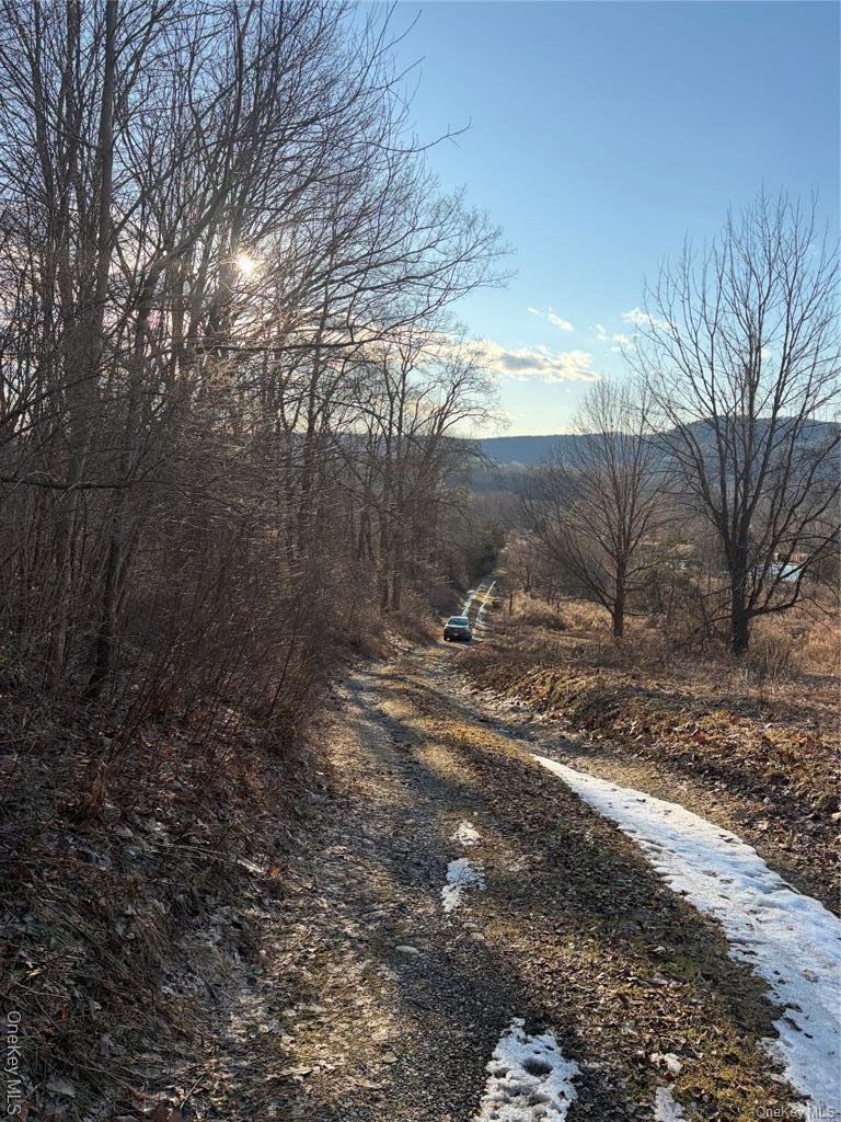 Single Family Hunter  Dutchess County, NY 12592, MLS-938516-22