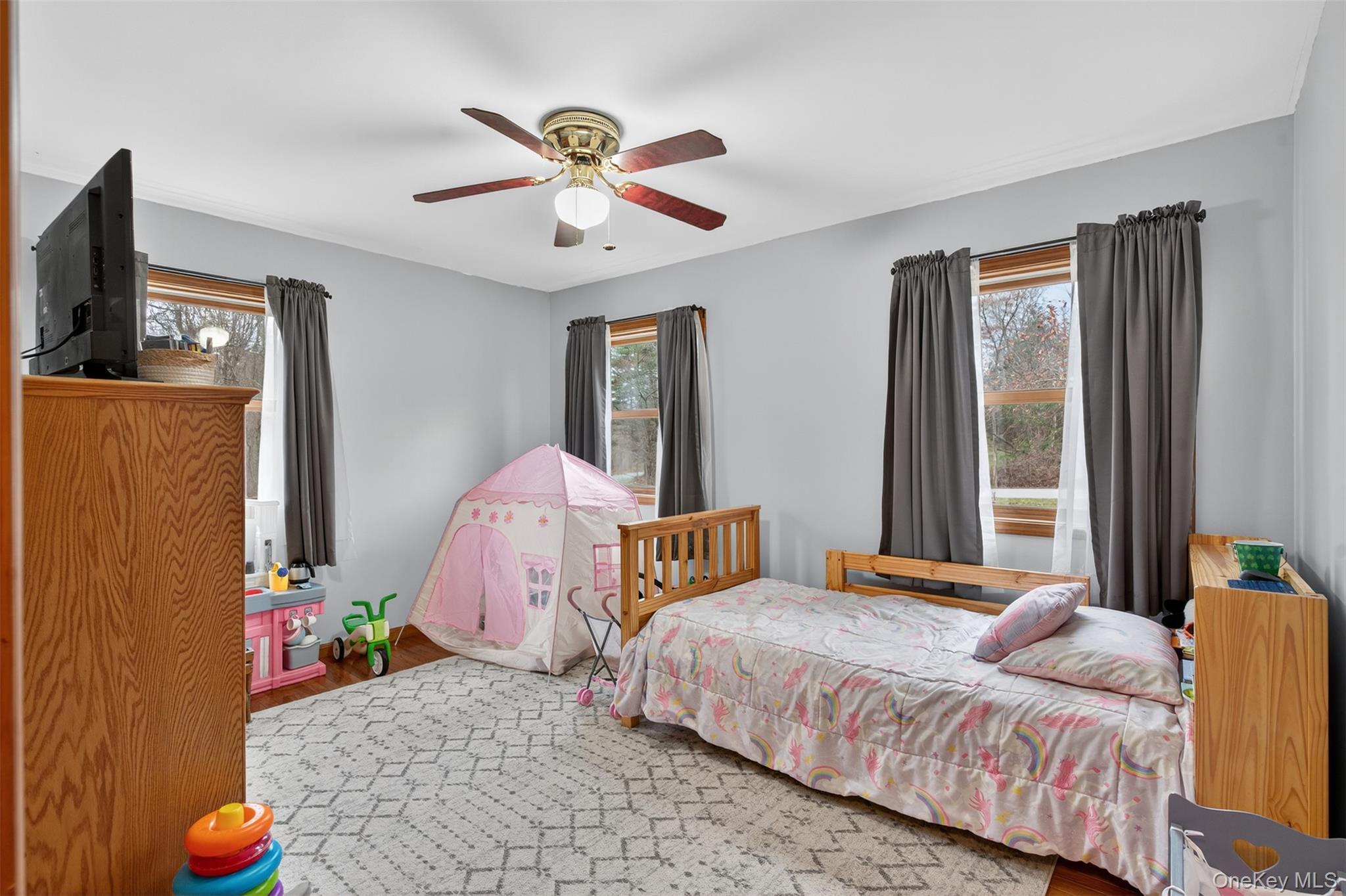 Single Family Carly  Ulster County, NY 12528, MLS-938527-16