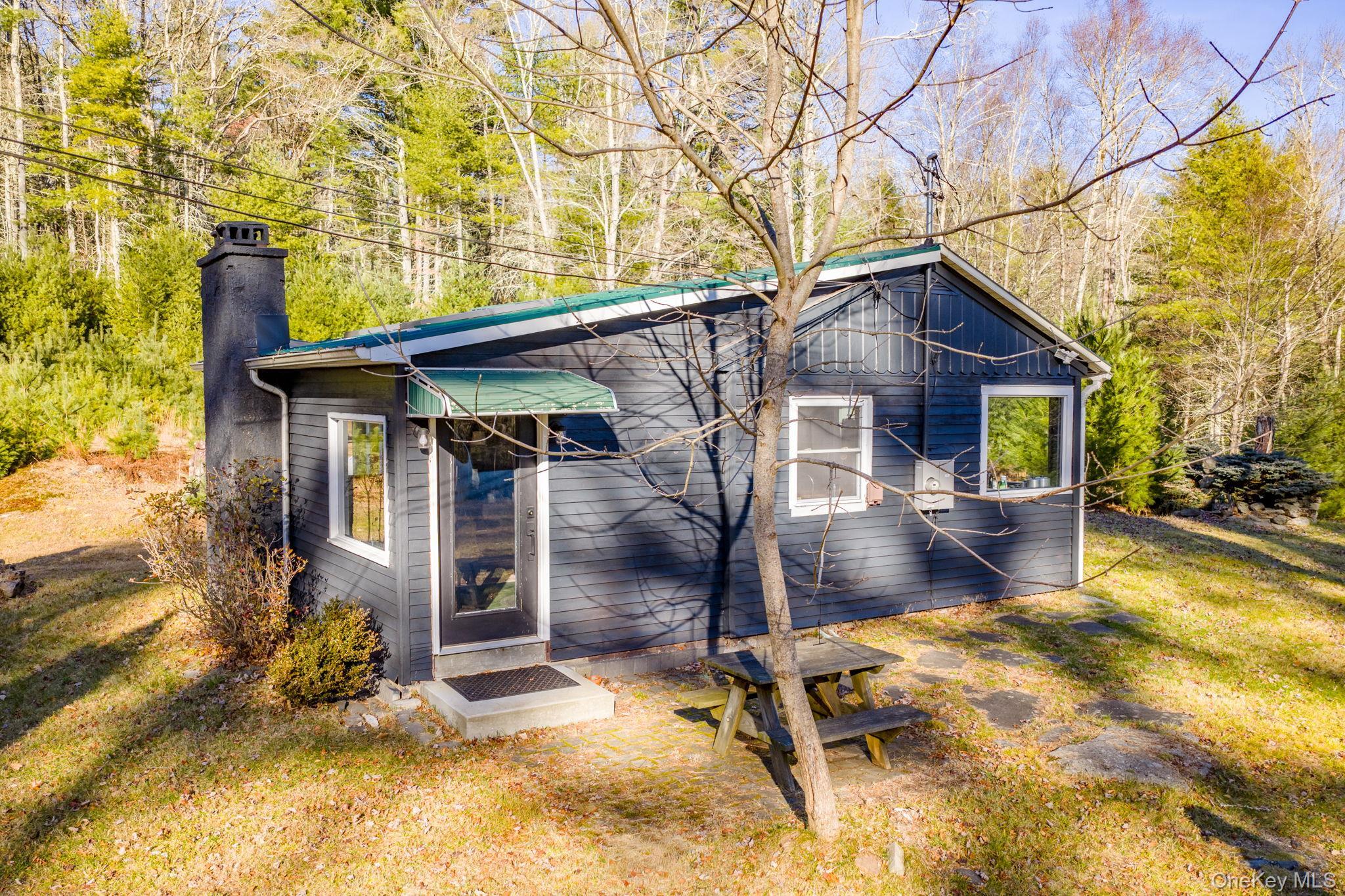 Single Family Yulan Barryville Sullivan County, NY 12719, MLS-938570-2