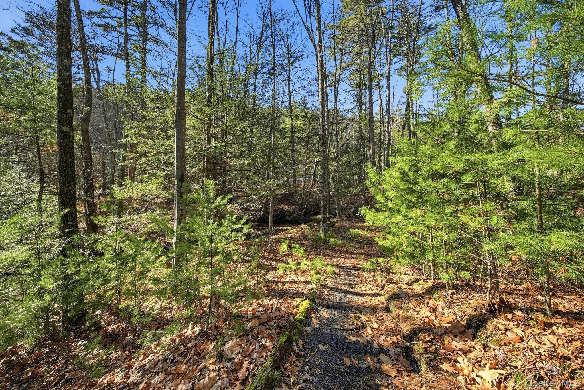 Single Family Yulan Barryville Sullivan County, NY 12719, MLS-938570-32