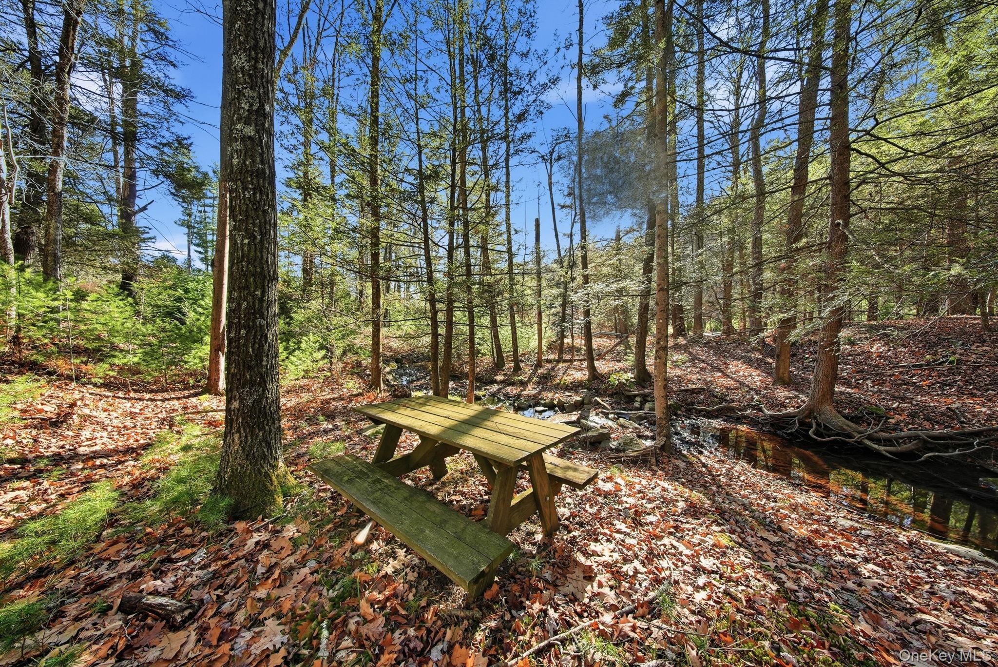 Single Family Yulan Barryville Sullivan County, NY 12719, MLS-938570-33